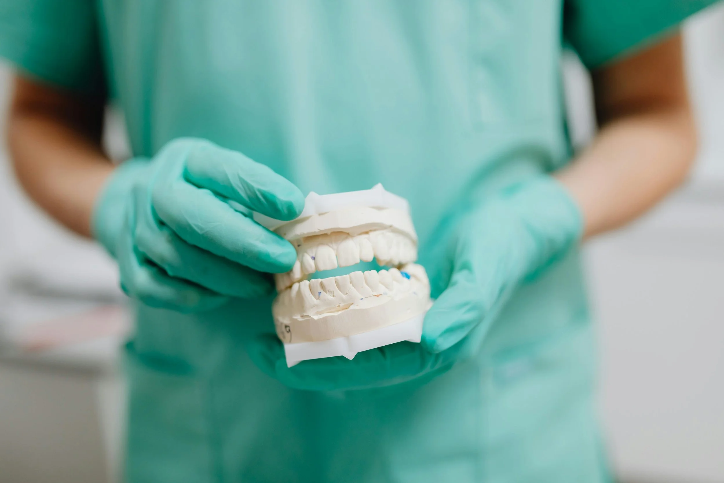 Teeth model held by dentist for patient education and treatment planning