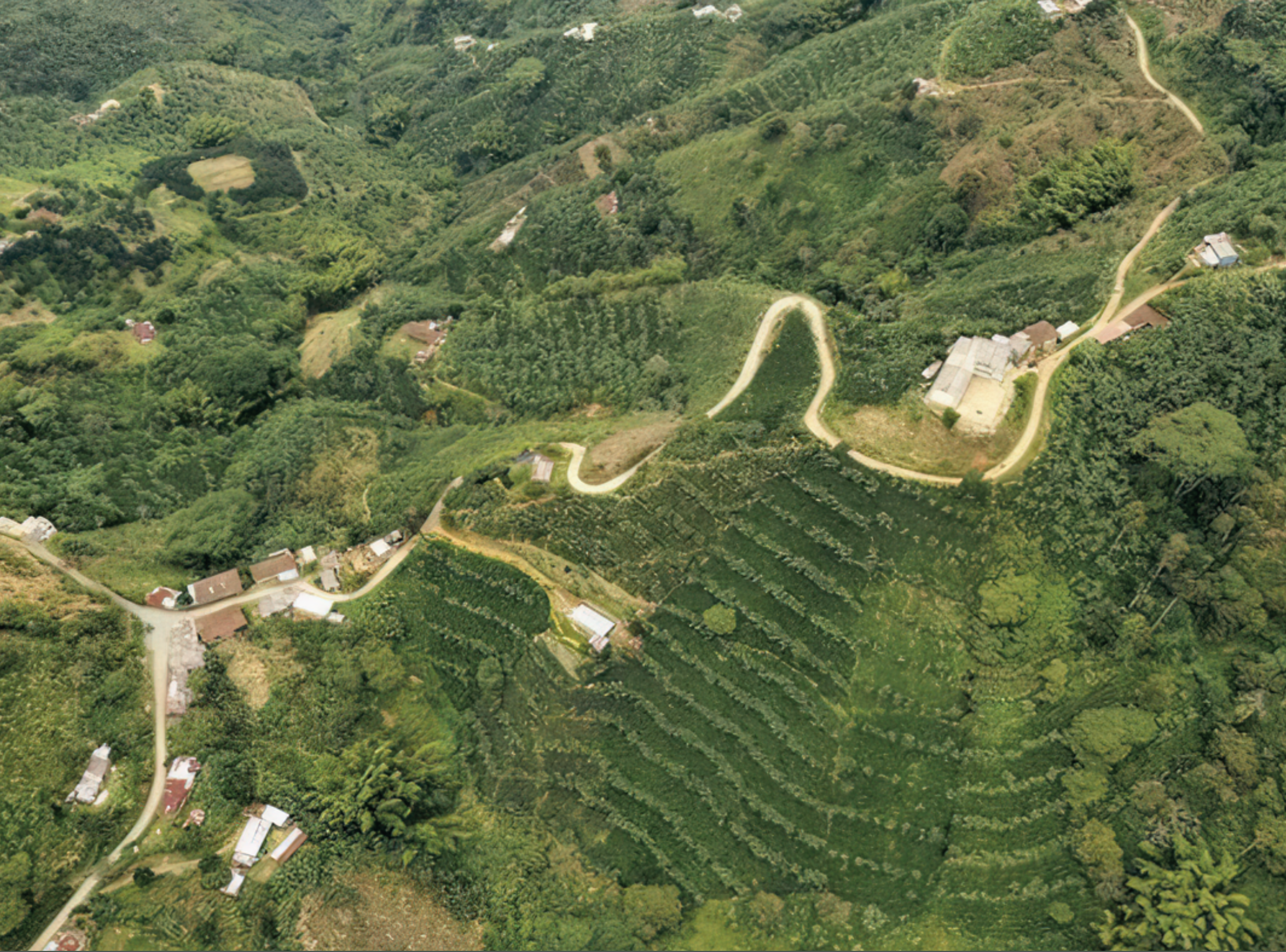 Finca El Renacer_Main.png