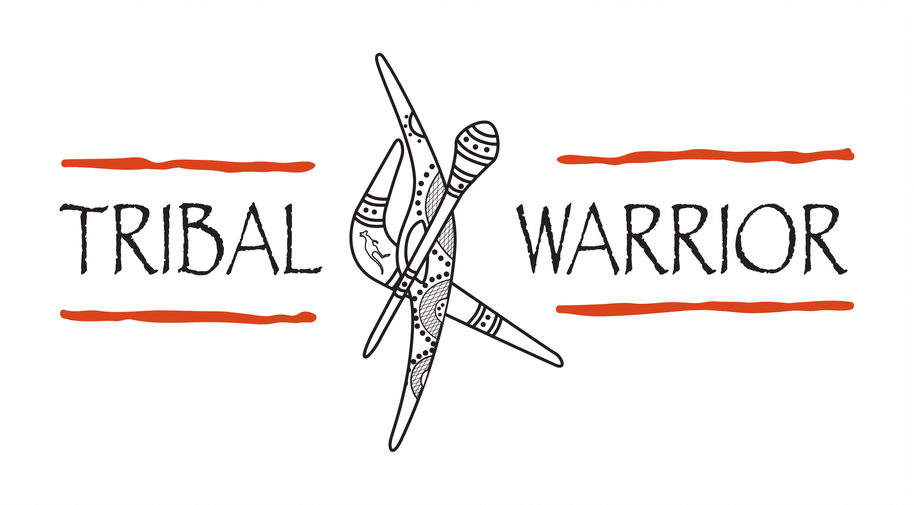 Design featuring the words 'Tribal Warrior' with a central illustration of three stylized, decorated arrows crossed in the middle. Red horizontal lines are above and below the words.