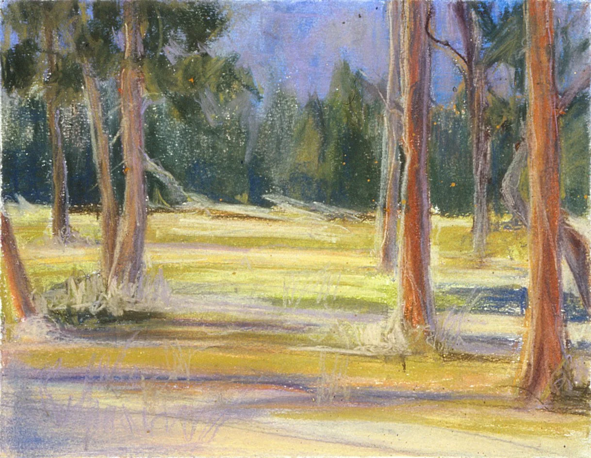 Yosemite Meadow