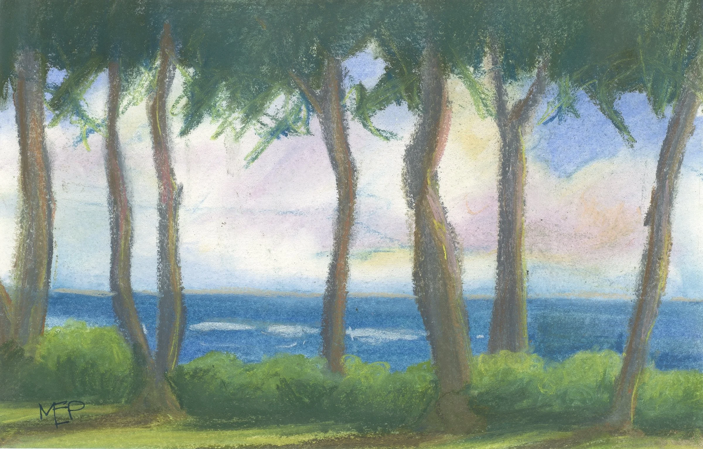 Halalei View