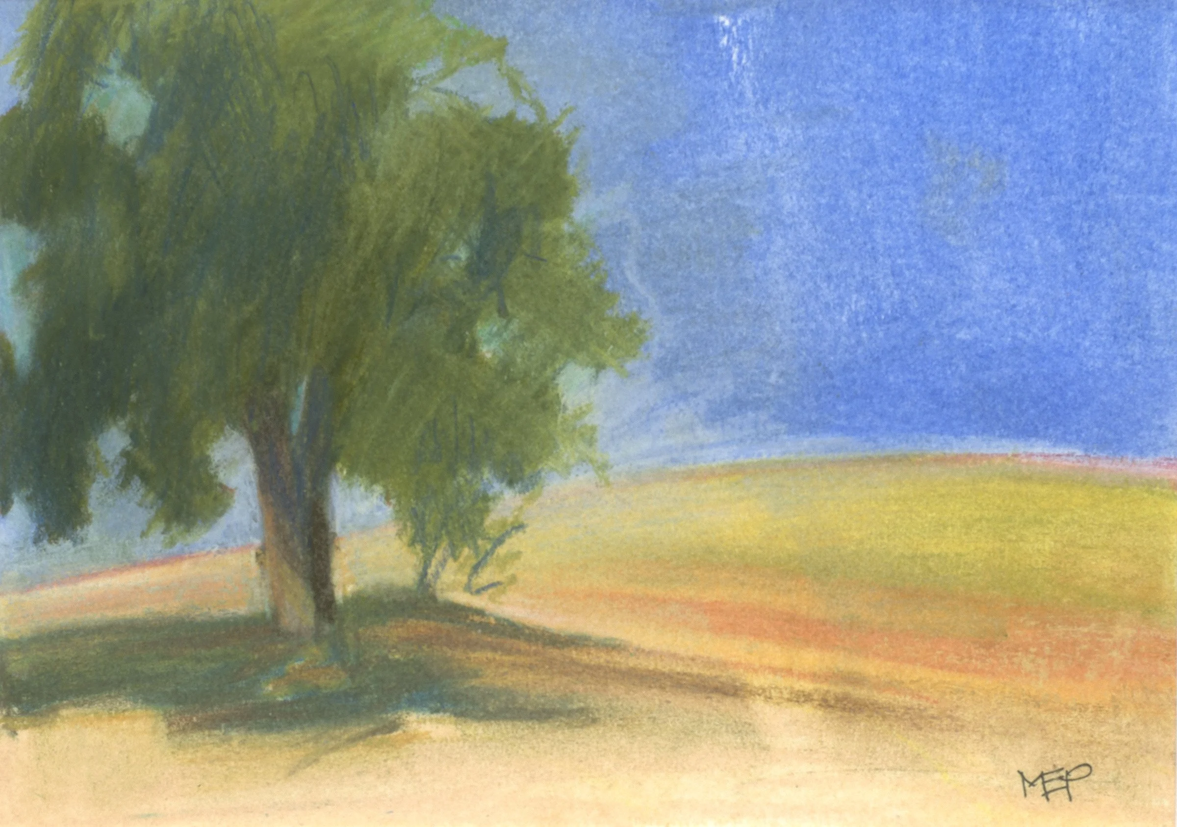 Gerry's Oak