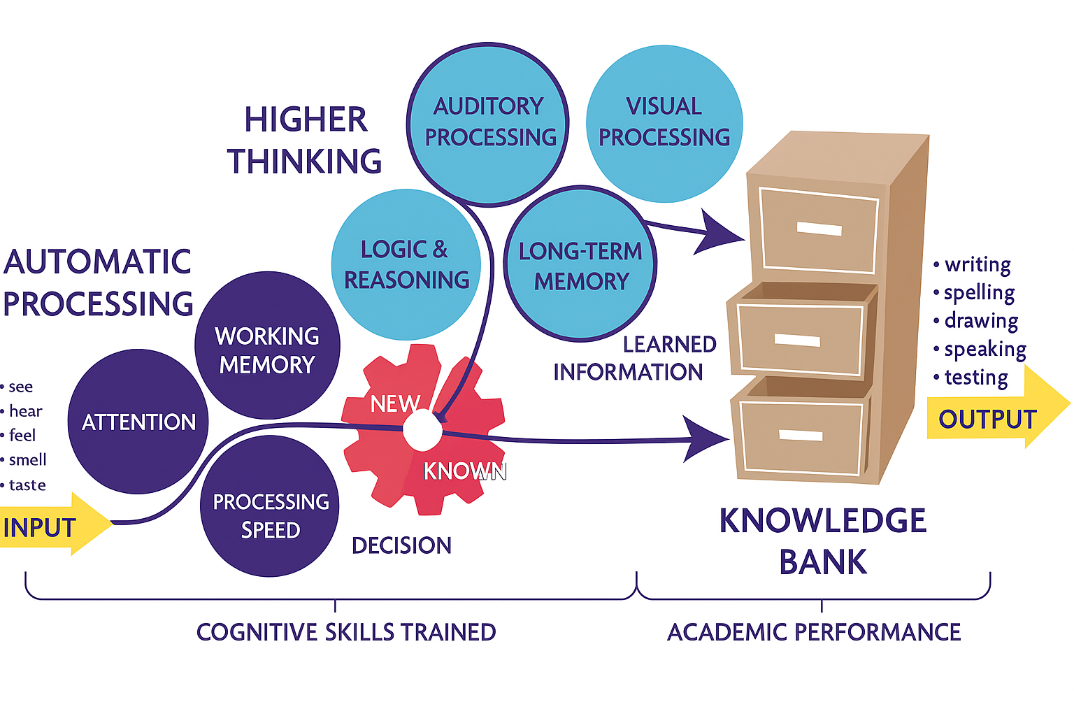 Diagram illustrating the process of transforming input sensory data into knowledge stored in a knowledge bank, highlighting automatic and higher-level cognitive skills like attention, processing speed, logic, reasoning, auditory and visual processing, and long-term memory, with outputs including writing, spelling, drawing, speaking, and testing.