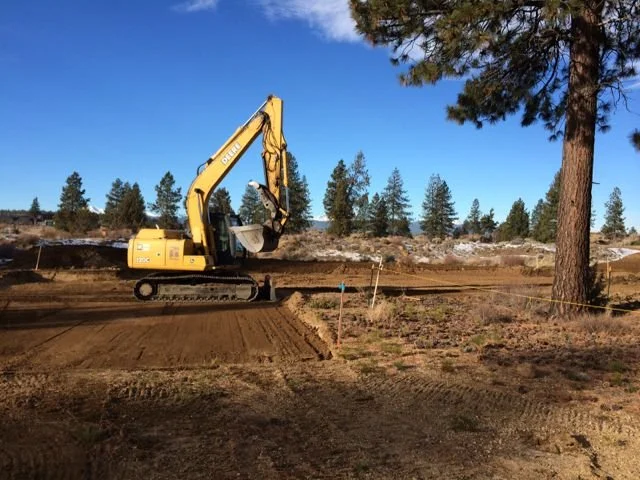 Protecting Native Vegetation