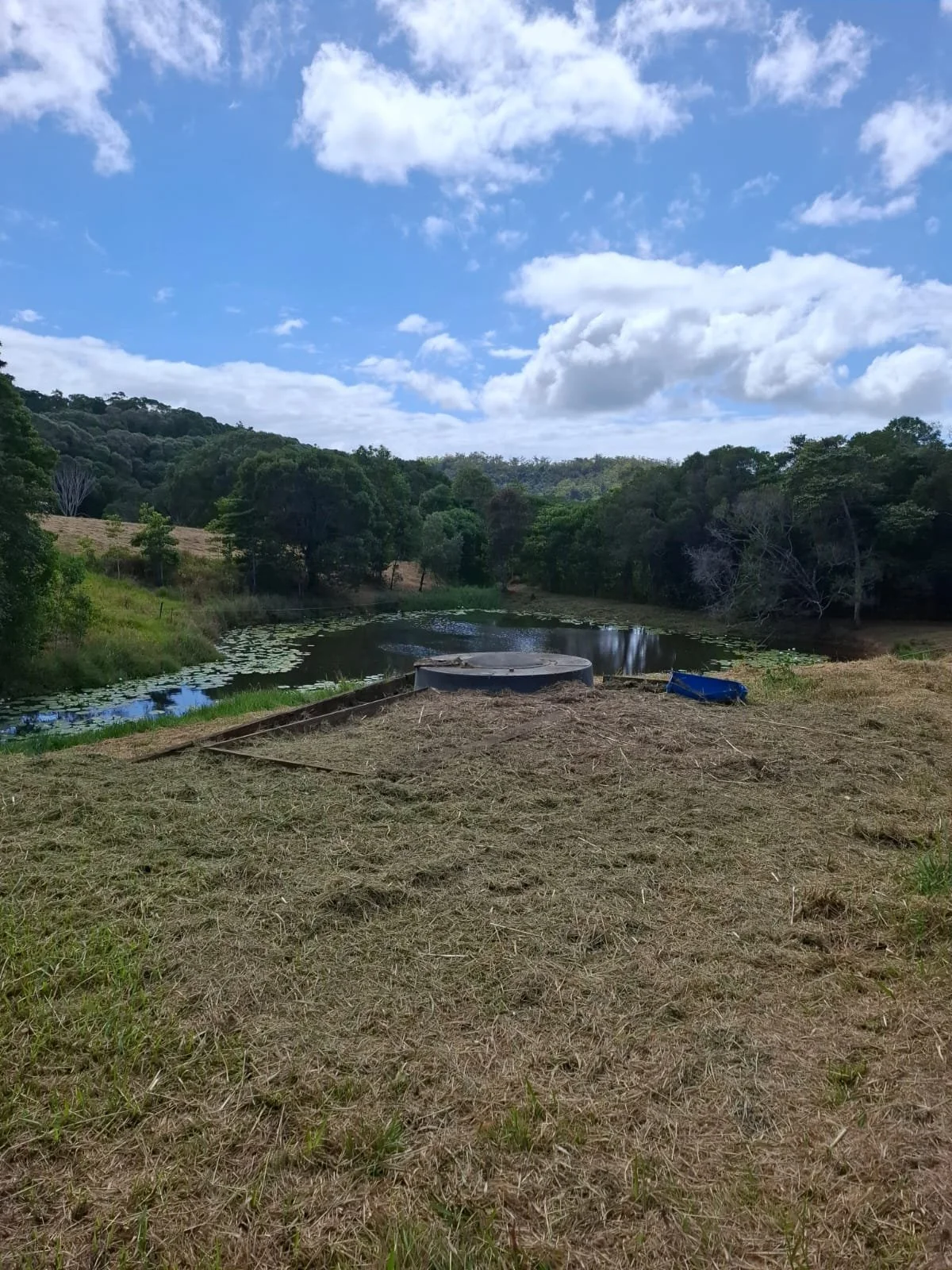 Pond 2 - property cleanup Julatten.jpg