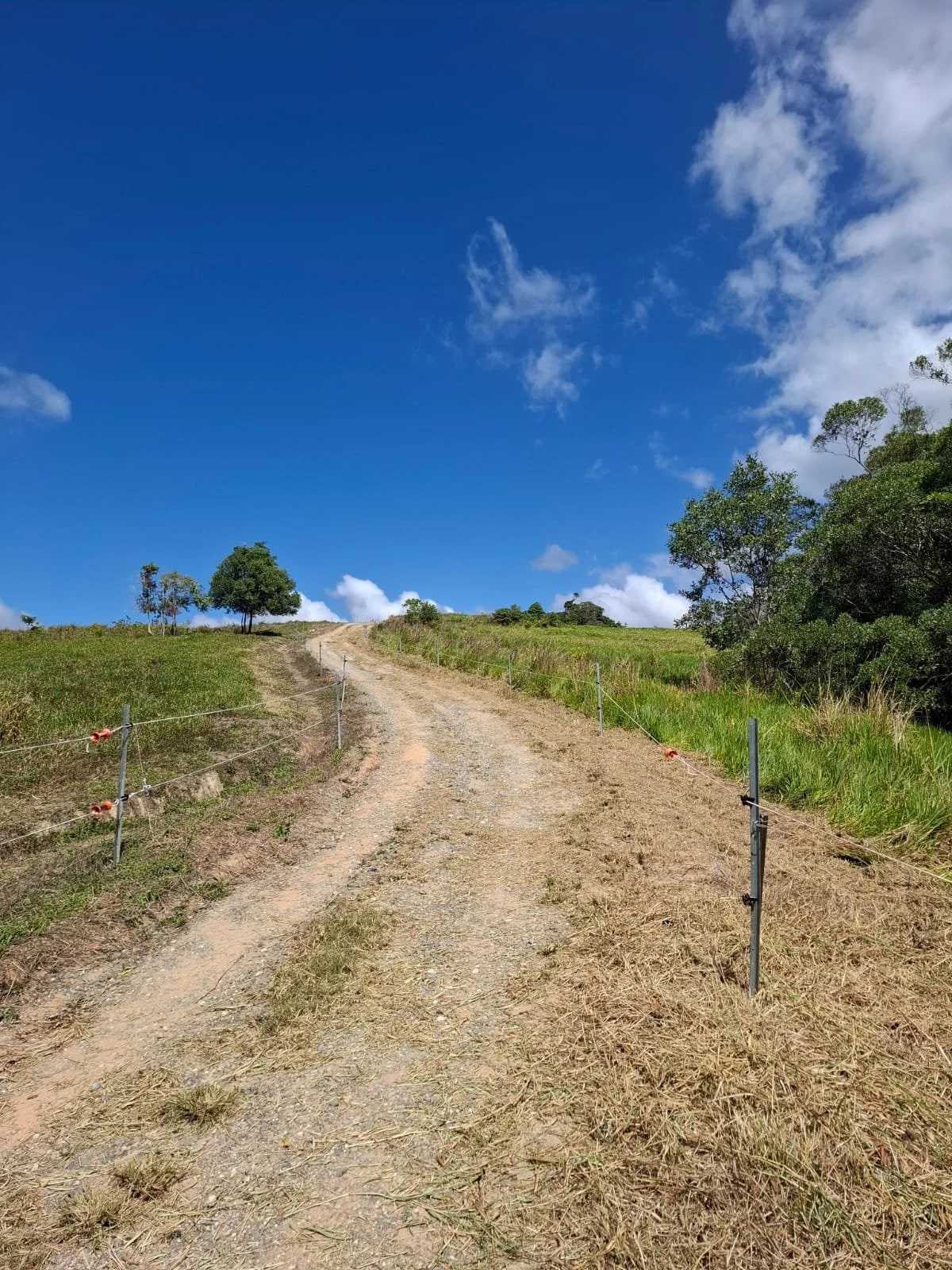 Dirt road - property cleanup Julatten.jpg