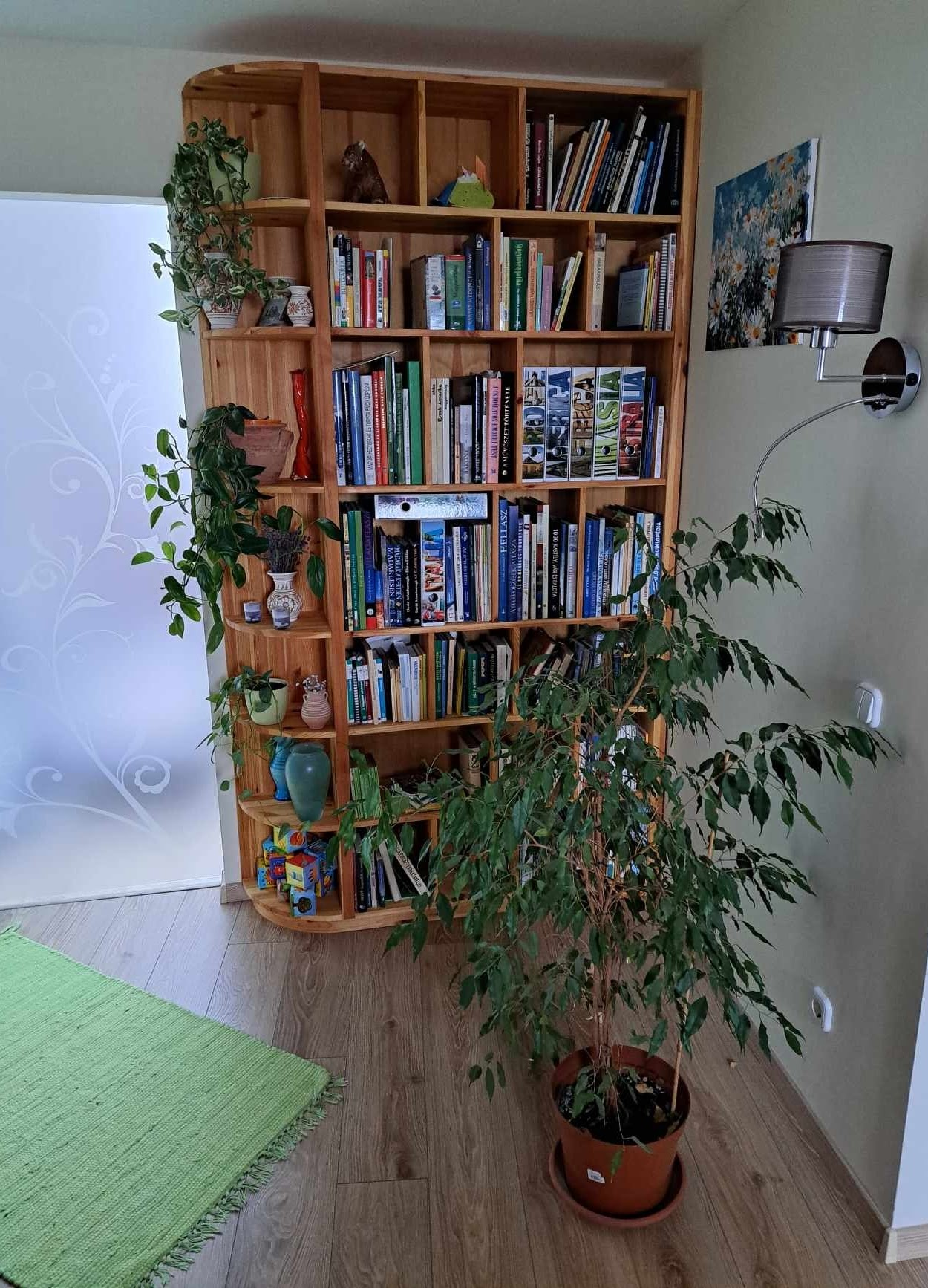 Wooden bookshelf filled with books, decorated with plants and small decorative objects, situated in a room with a green rug and wooden floor, next to a potted plant and a frosted glass door.