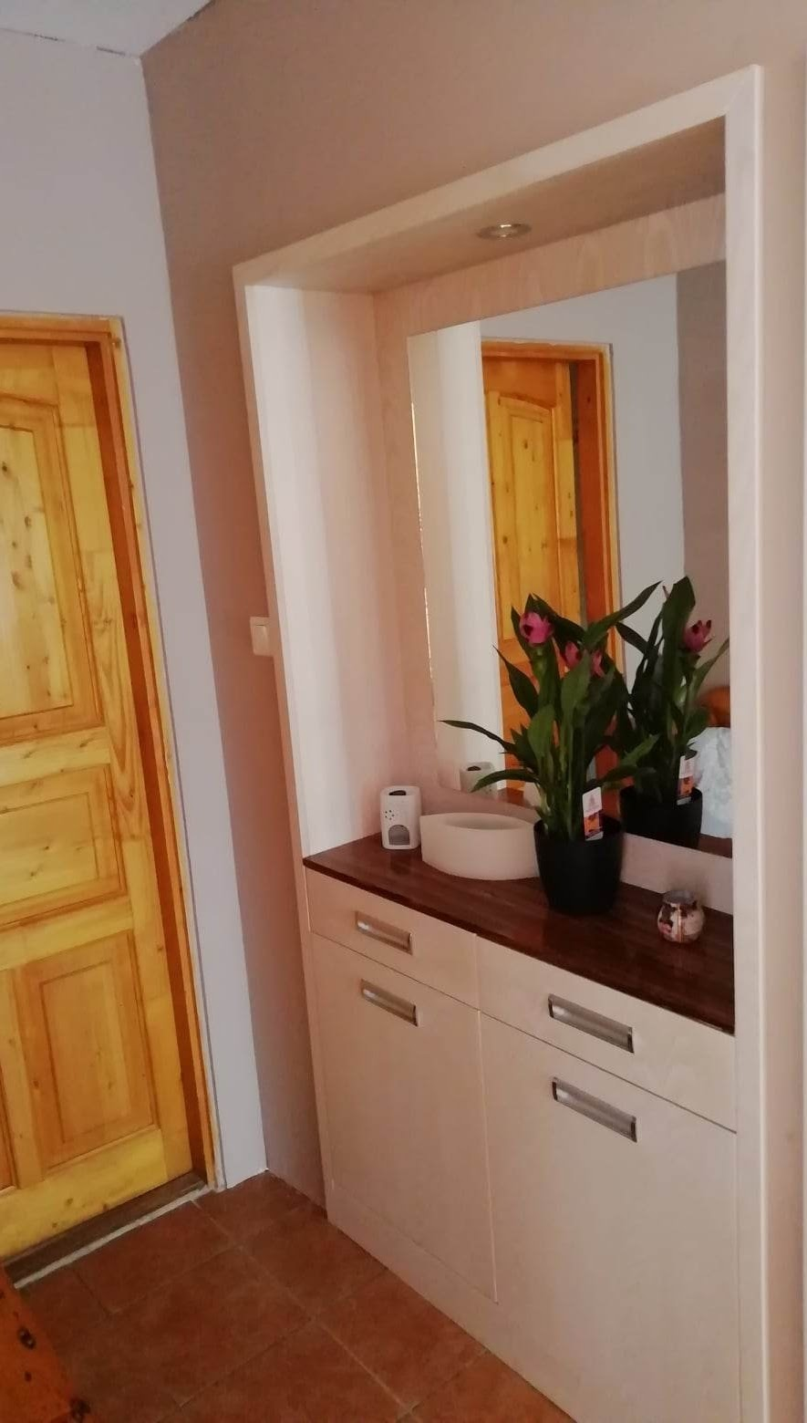 Interior view of a hallway with a wooden door, white cabinet with a dark wood top, a mirror above the cabinet, a large potted plant with pink flowers, and small decorative items on the cabinet.