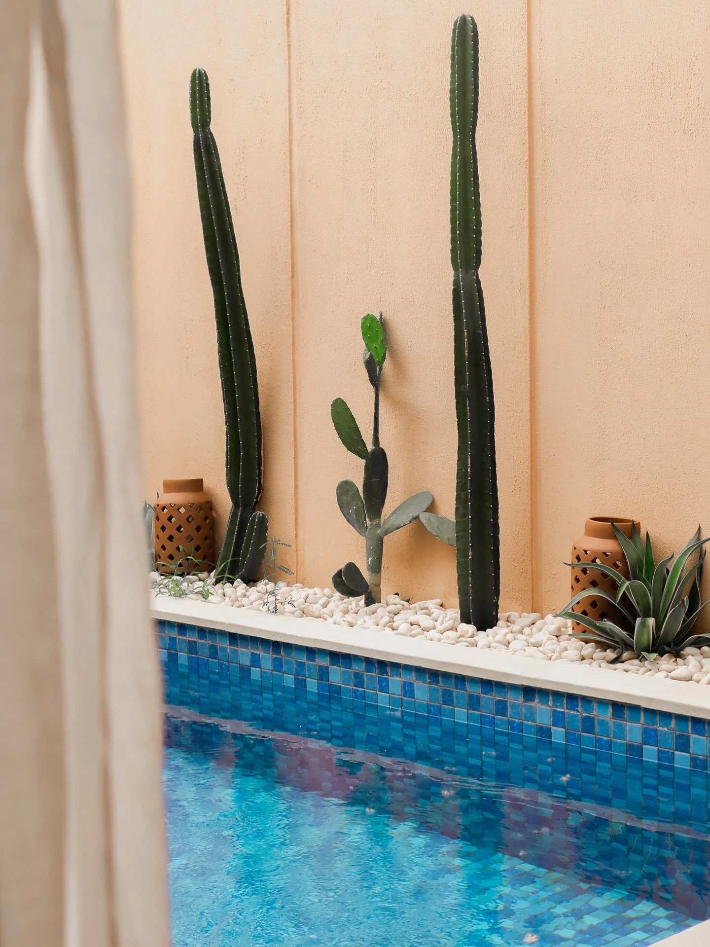 Waking up to this view ☀️🌵

#pasirbali #uluwatuvillas #balidreamscape #islandinthemaking #binginretreat #comingtobalisoon