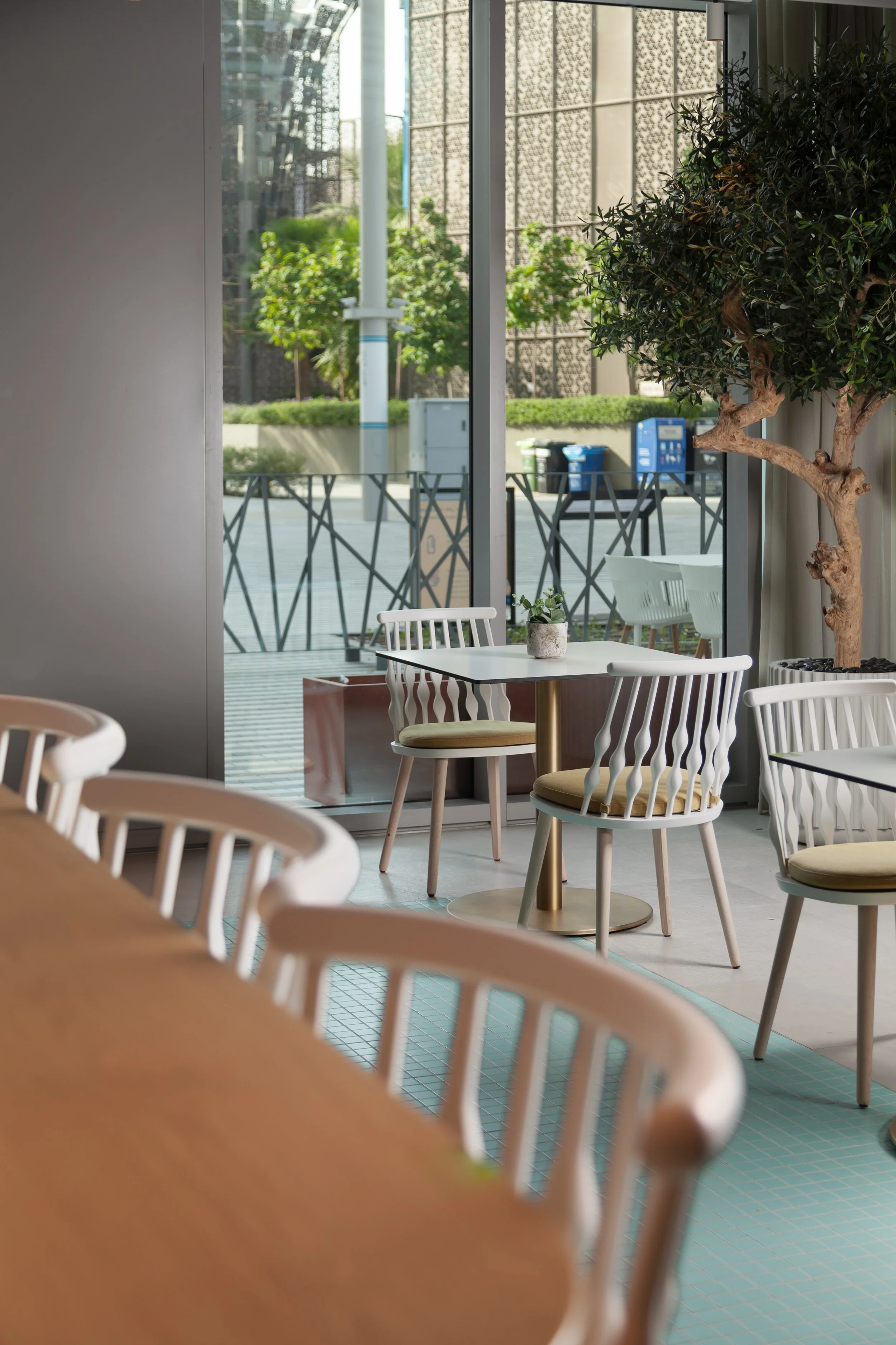 Interior of a modern cafe with white chairs, a small table with a potted plant, large glass windows revealing outdoor seating and greenery, and a tall indoor tree.