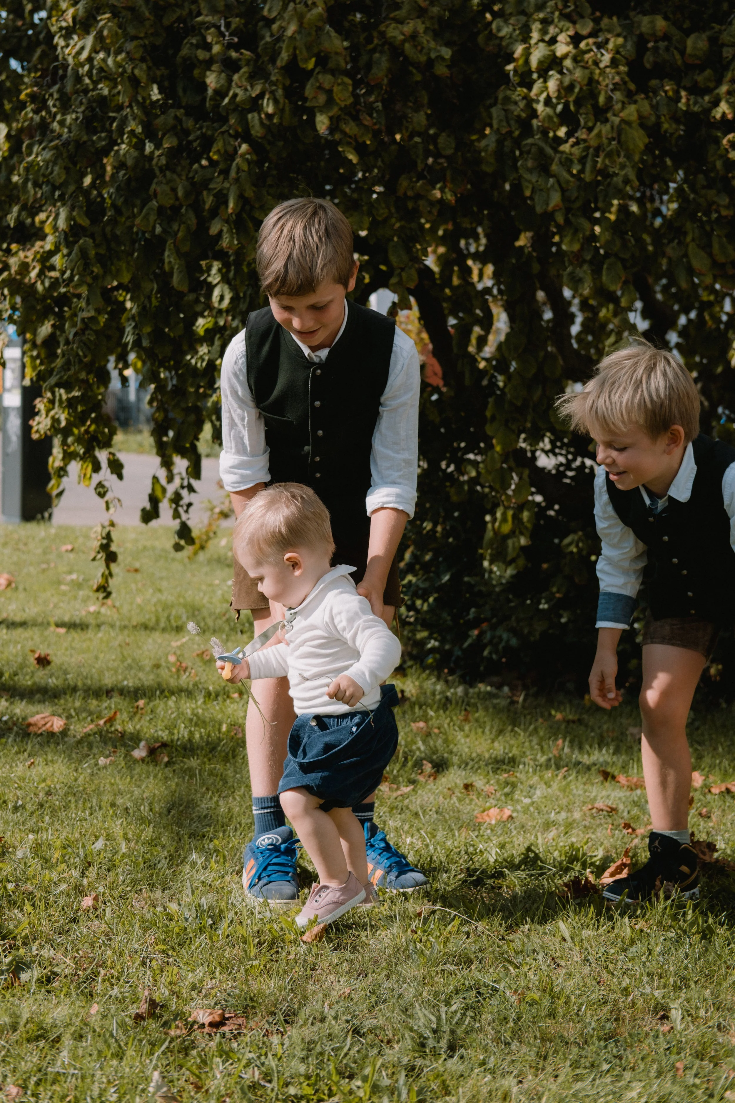 Drei Jungen und ein kleines Mädchen spielen draußen auf dem Gras, unter einem Baum, bei sonnigem Wetter.