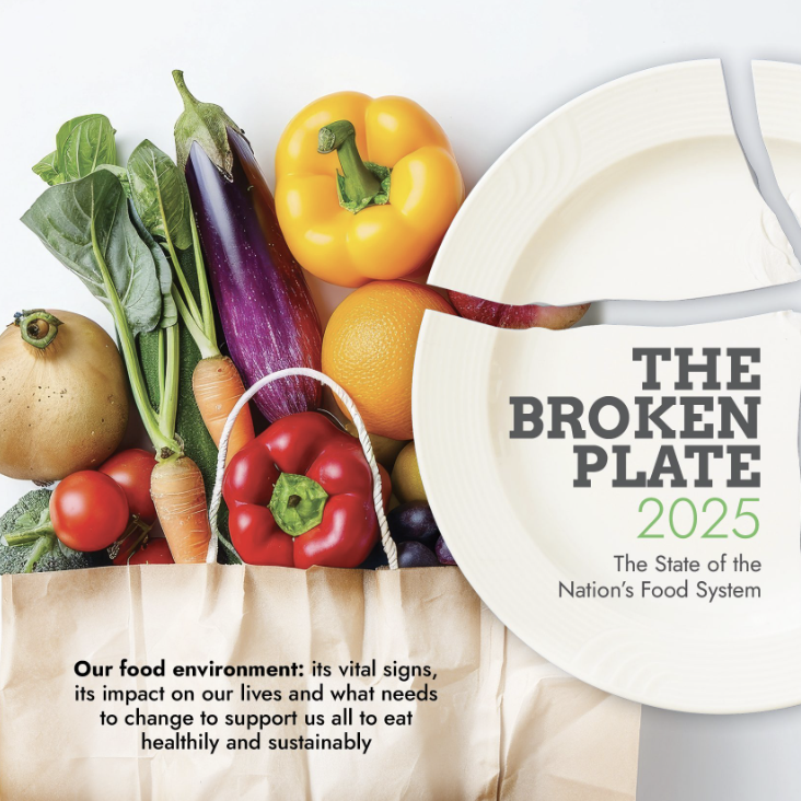 The Broken Plate 2025
