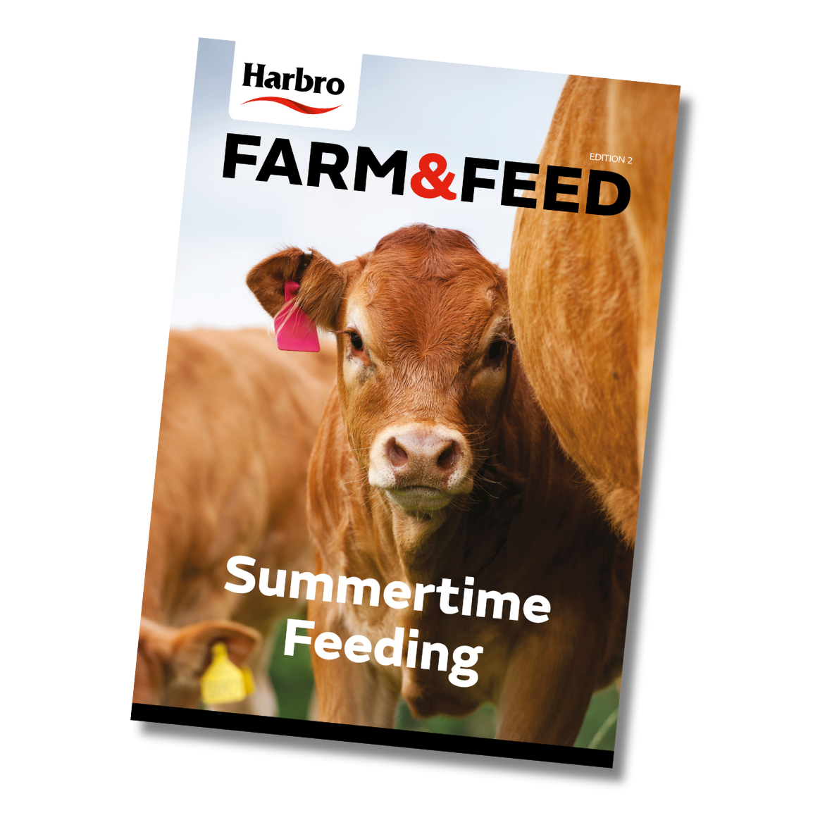 Farm & Feed