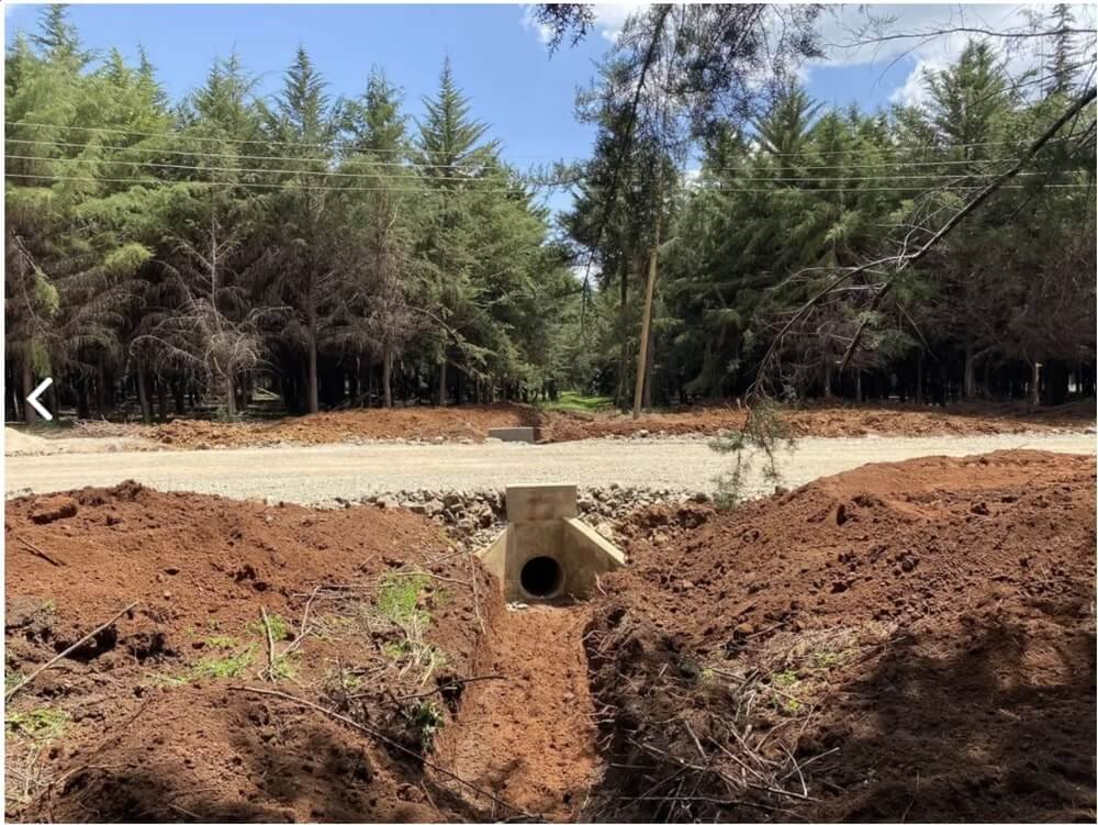 project 10.jpg