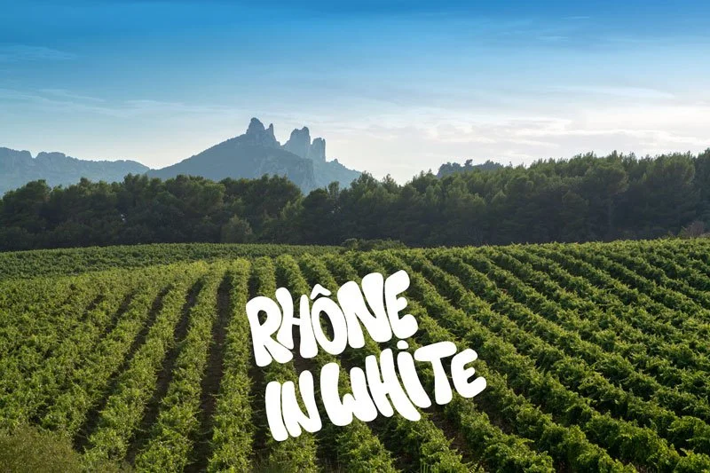 Rhône in White Oslo