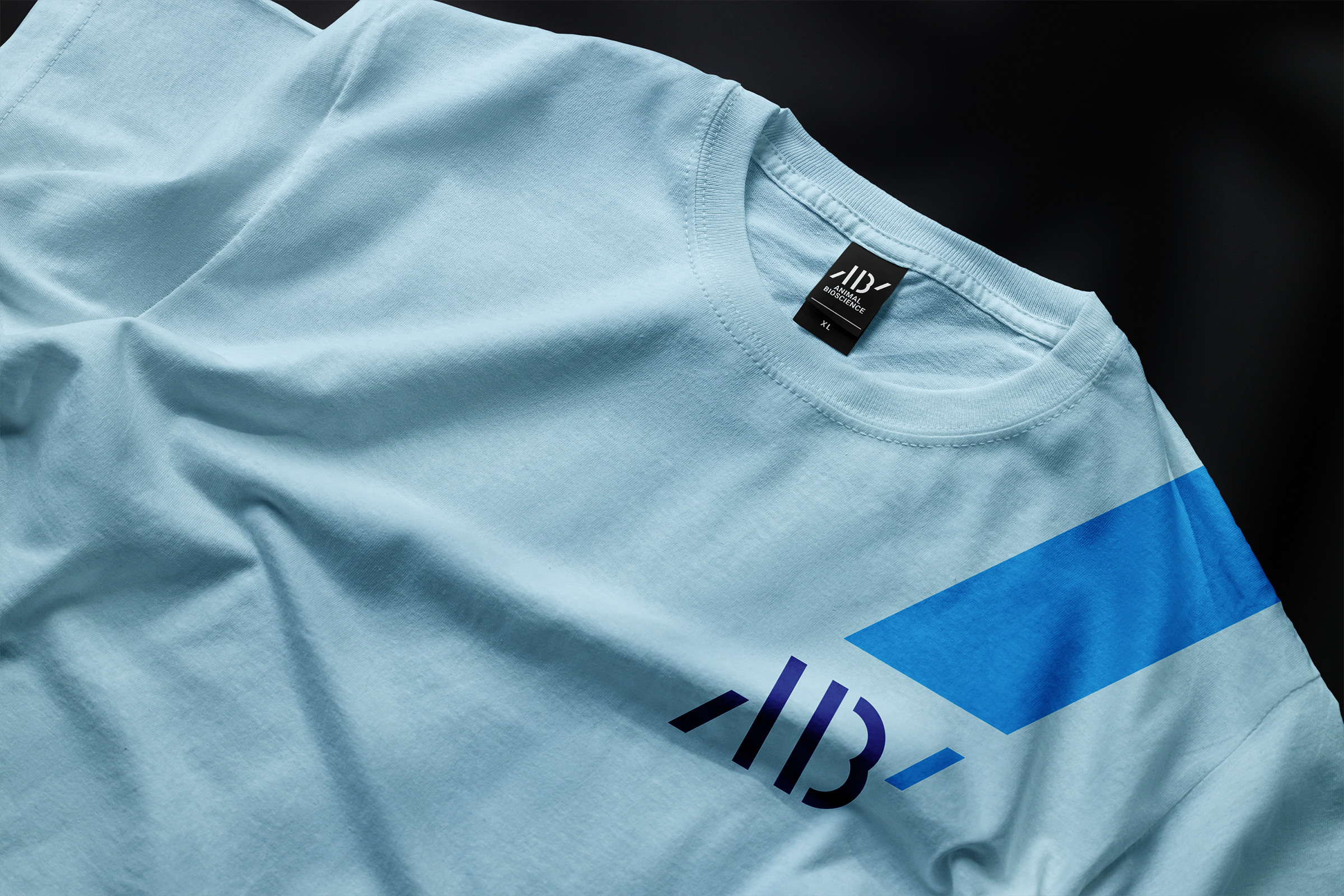 AB_tshirt.png