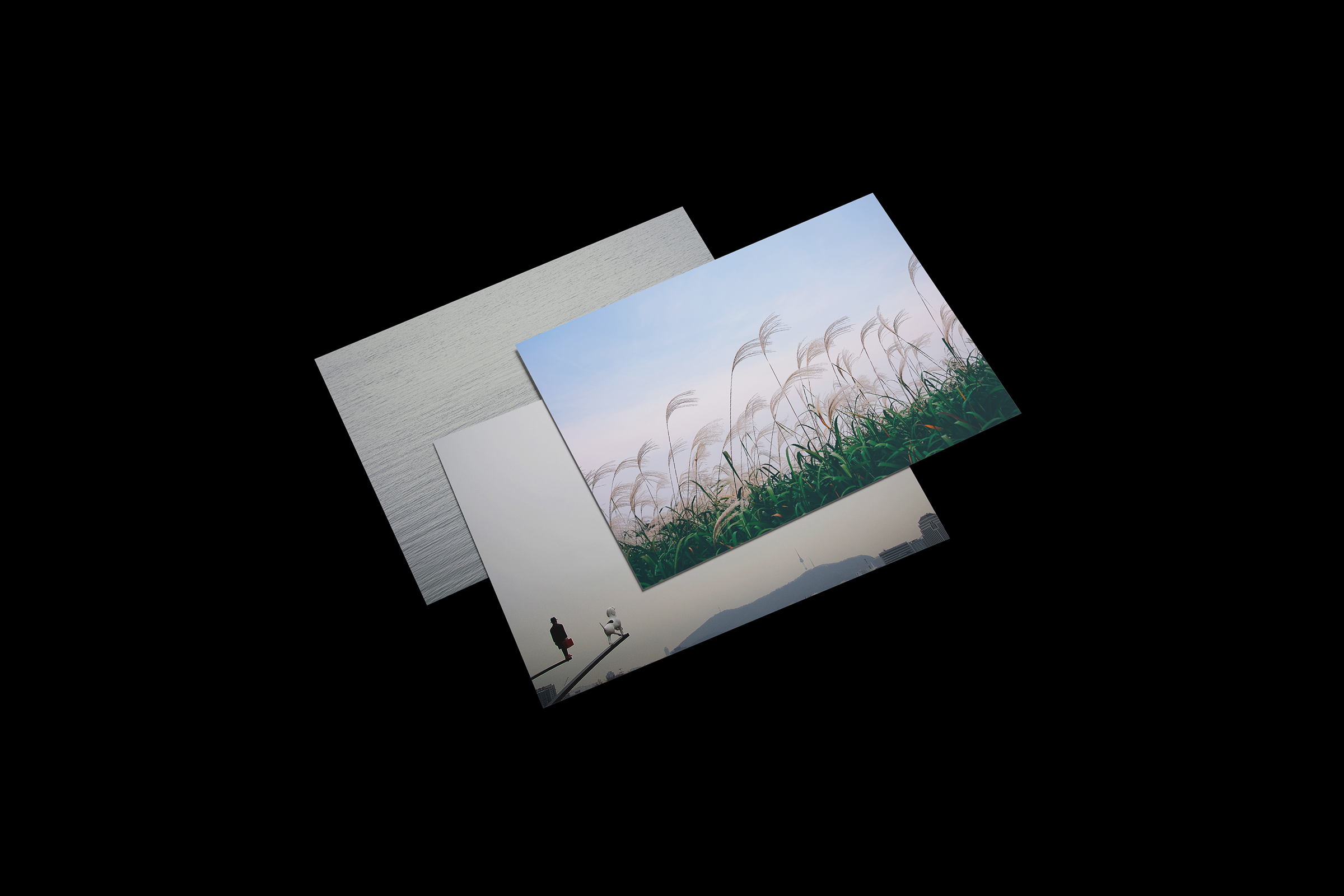 soojinpark_alivealways_postcardset.png
