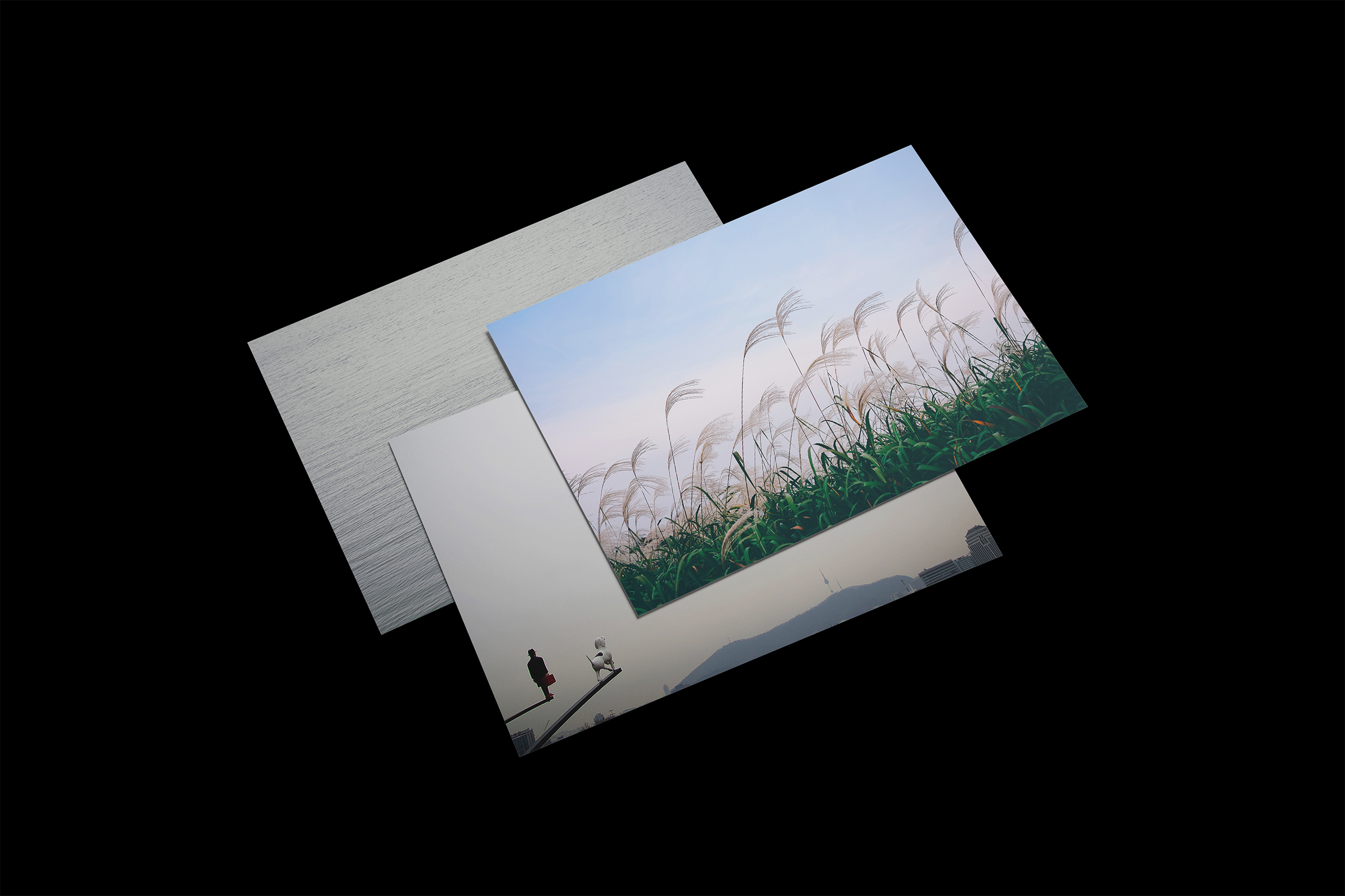 soojinpark_alivealways_postcardset.png