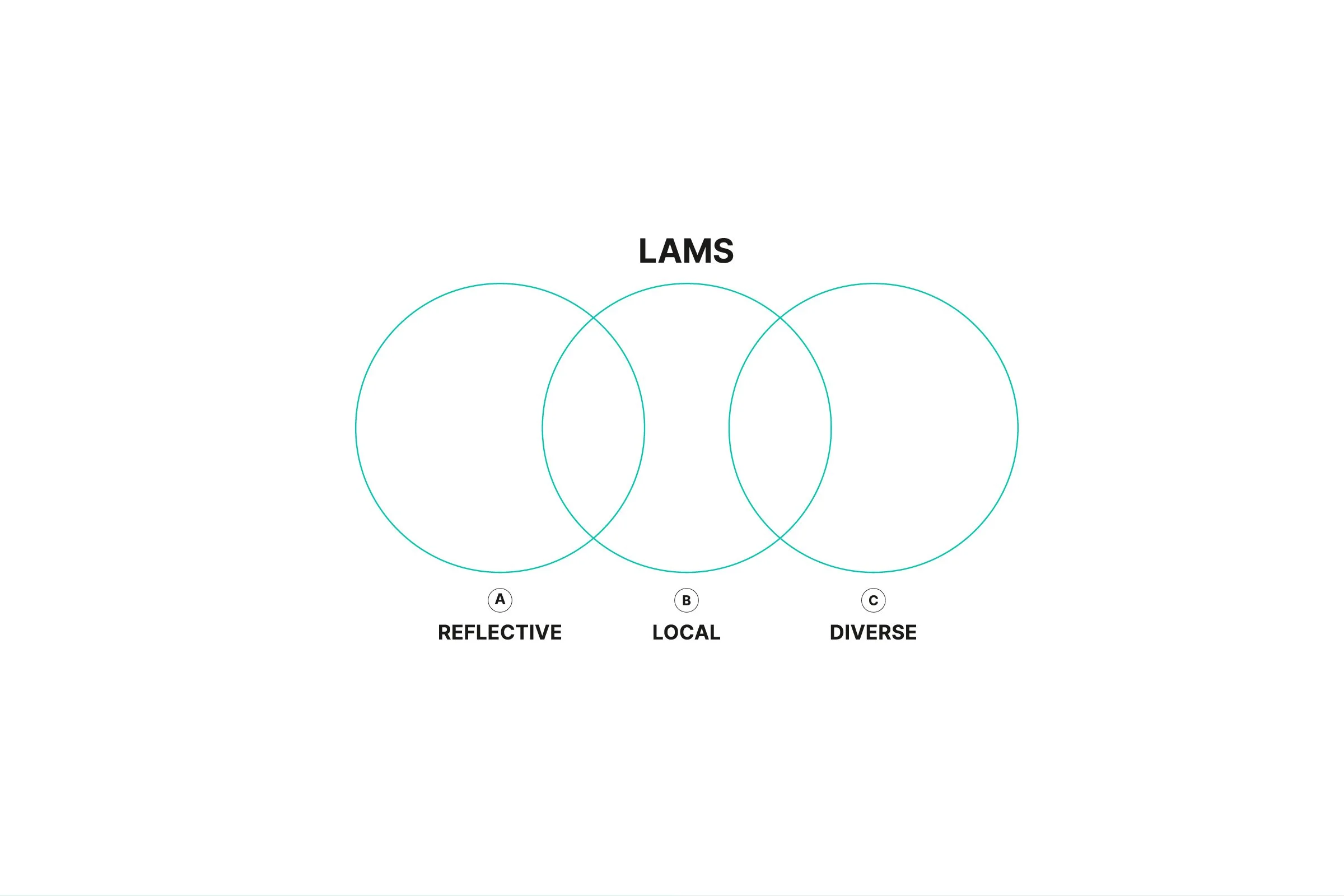 web _ lams 2.jpg