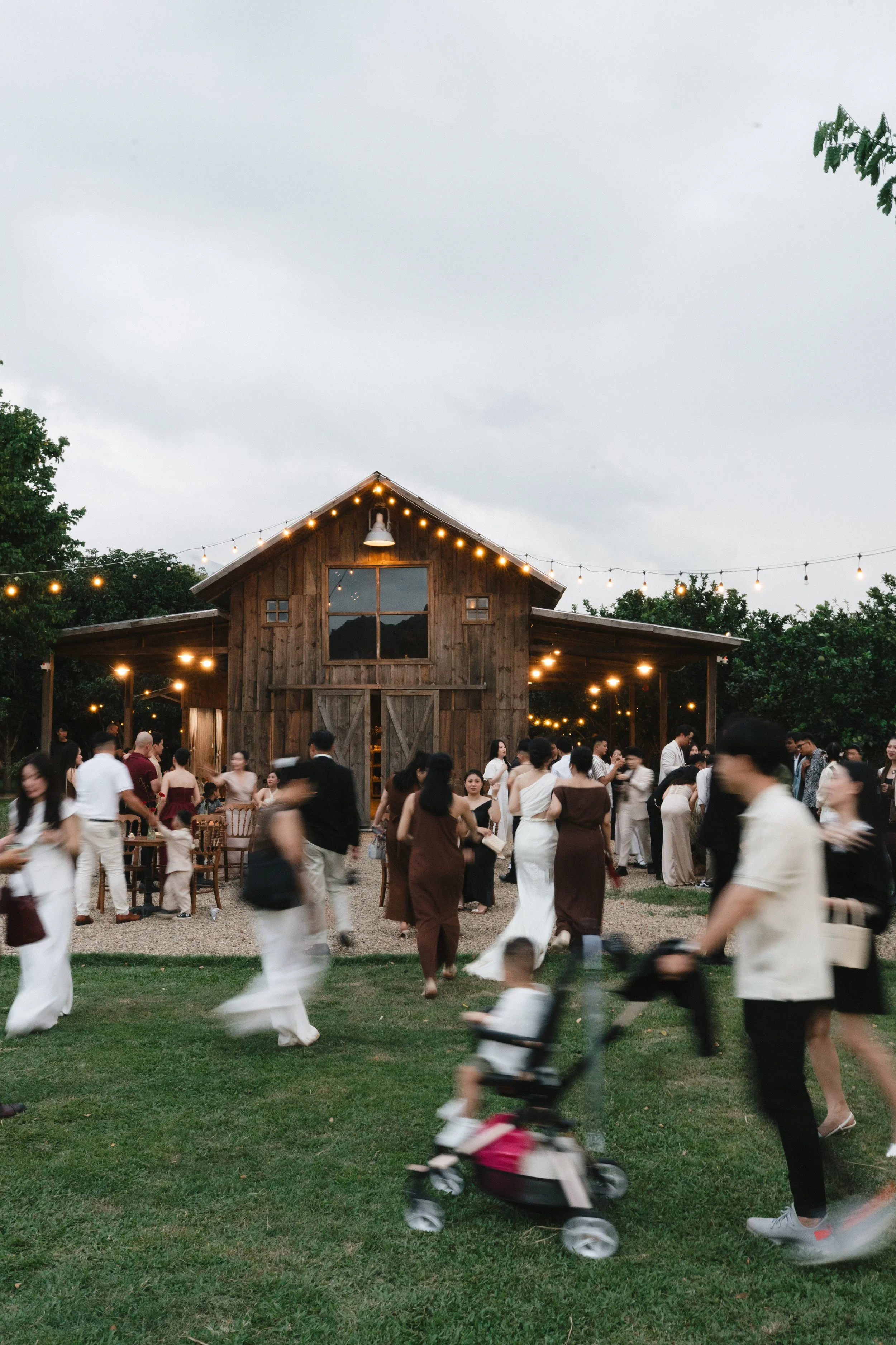 DES TRANG & HUNG 6692.JPG