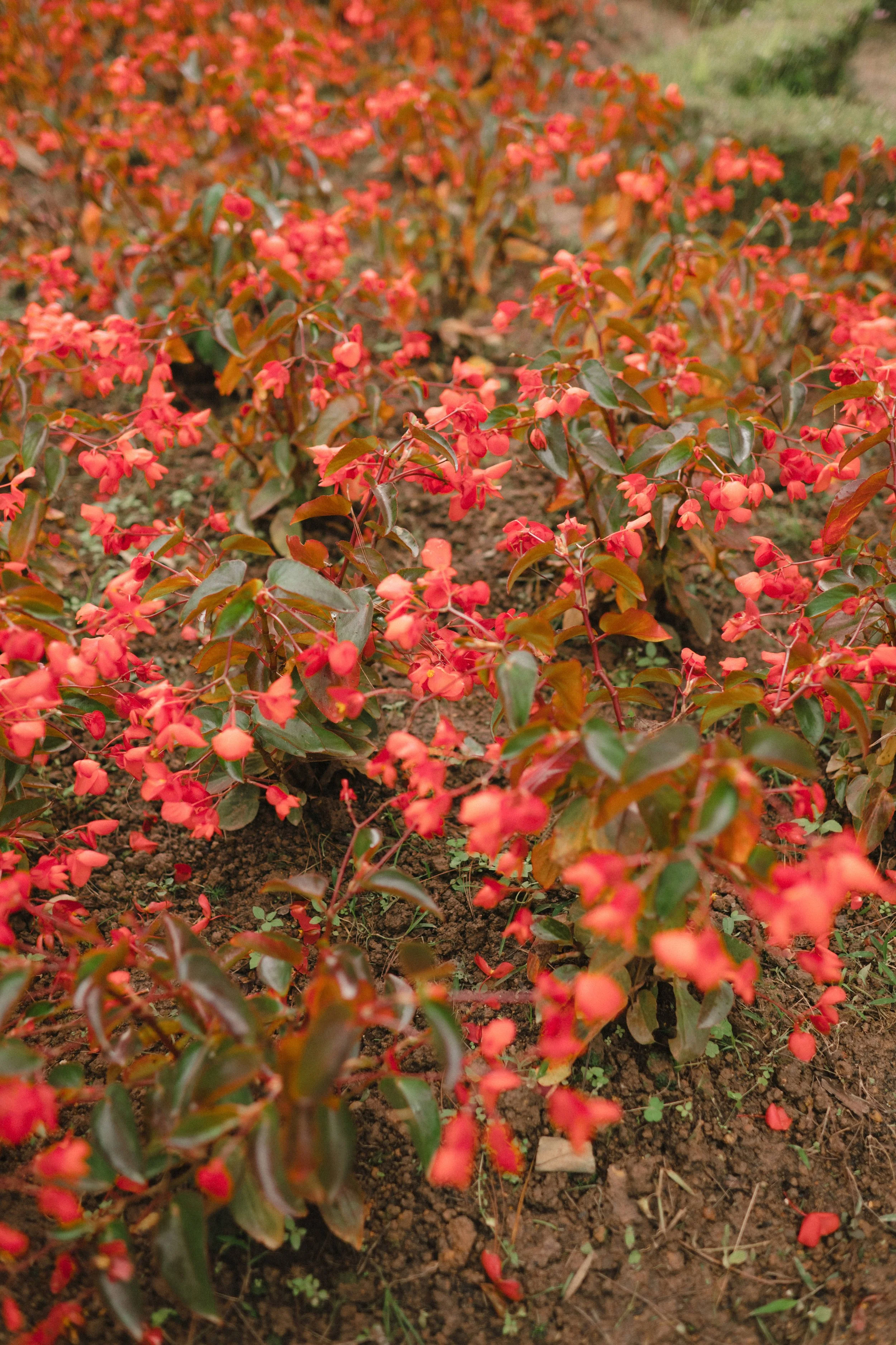 UYEN & THINH 330.JPG