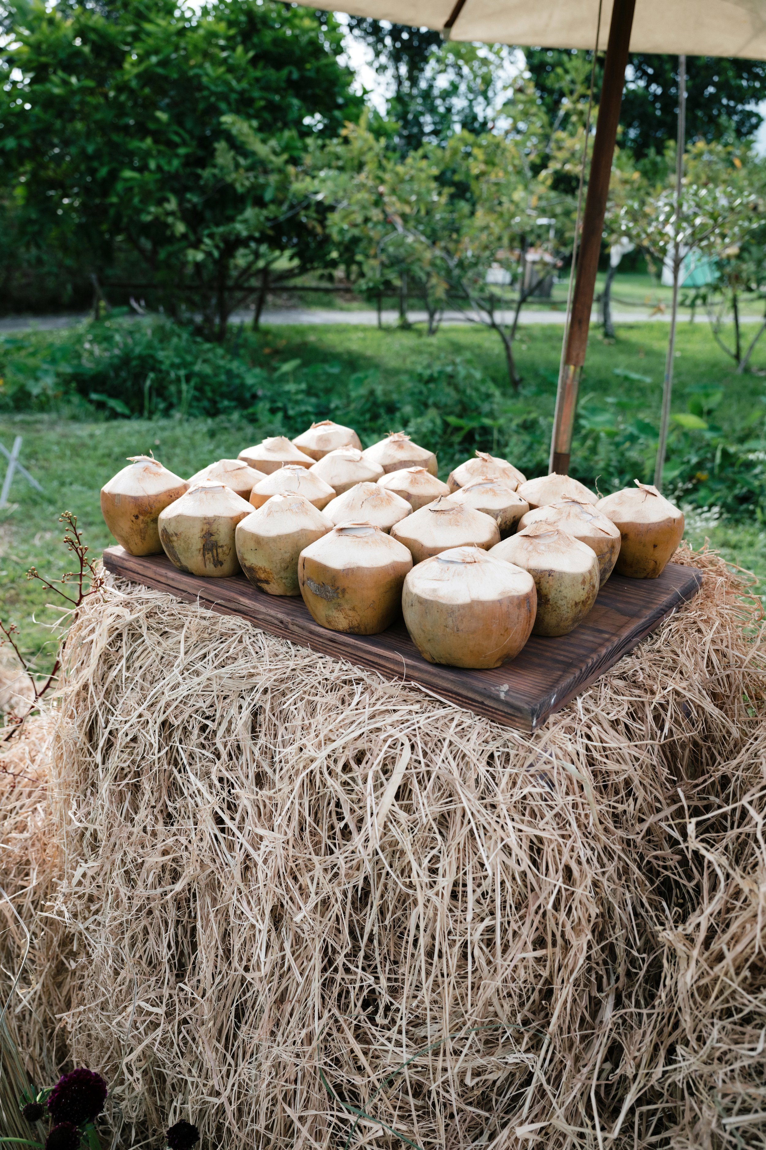 DES TRANG & HUNG 1930.jpg