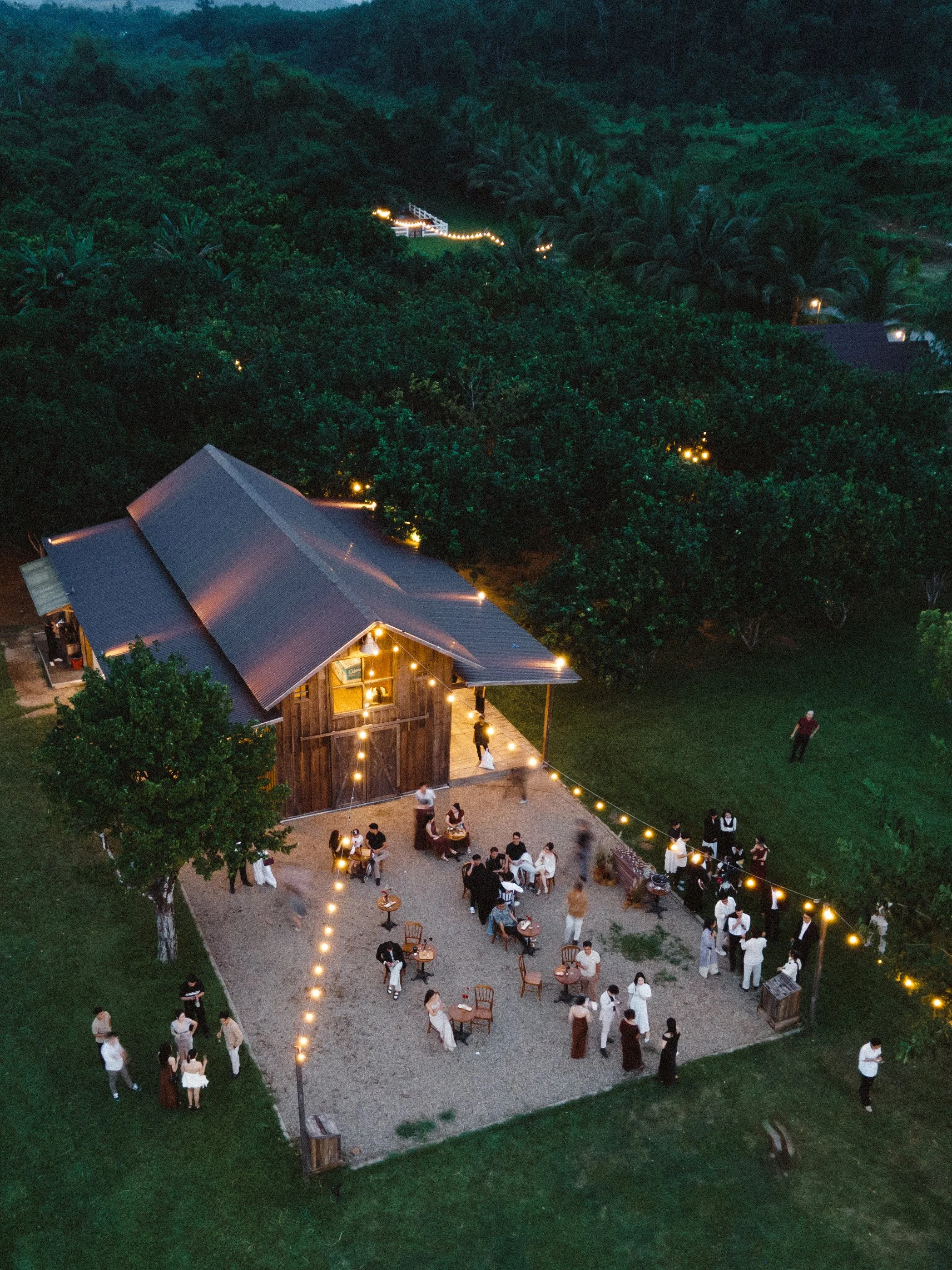 DES TRANG & HUNG 11924.JPG