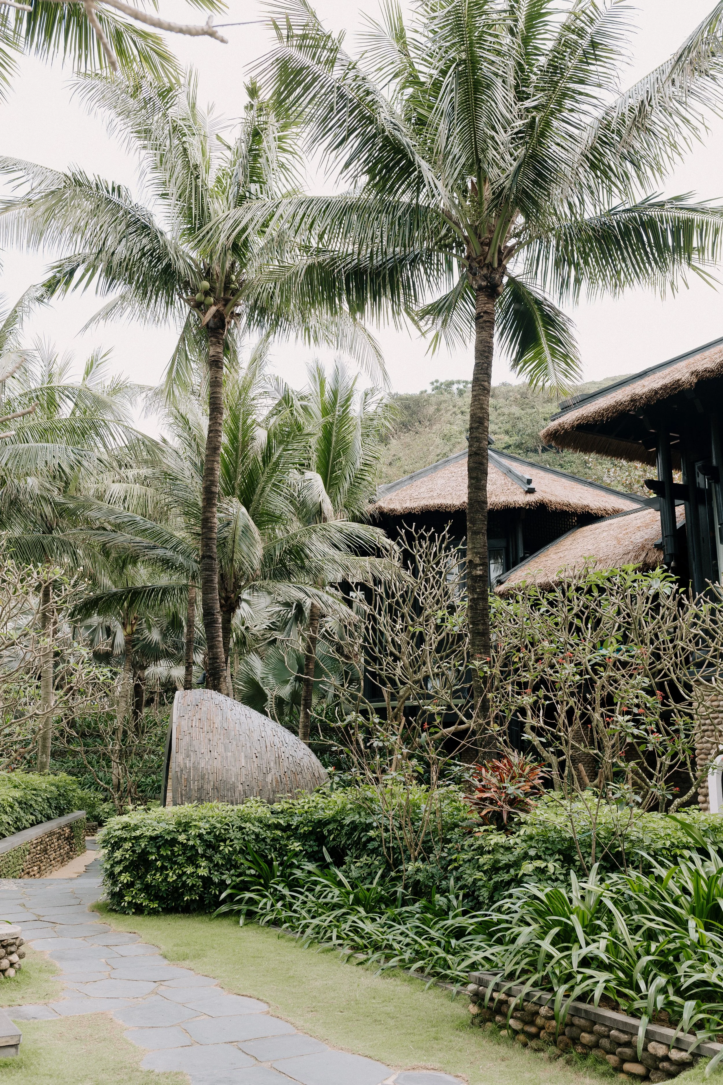 SPENCER & NICOLE 3212.JPG