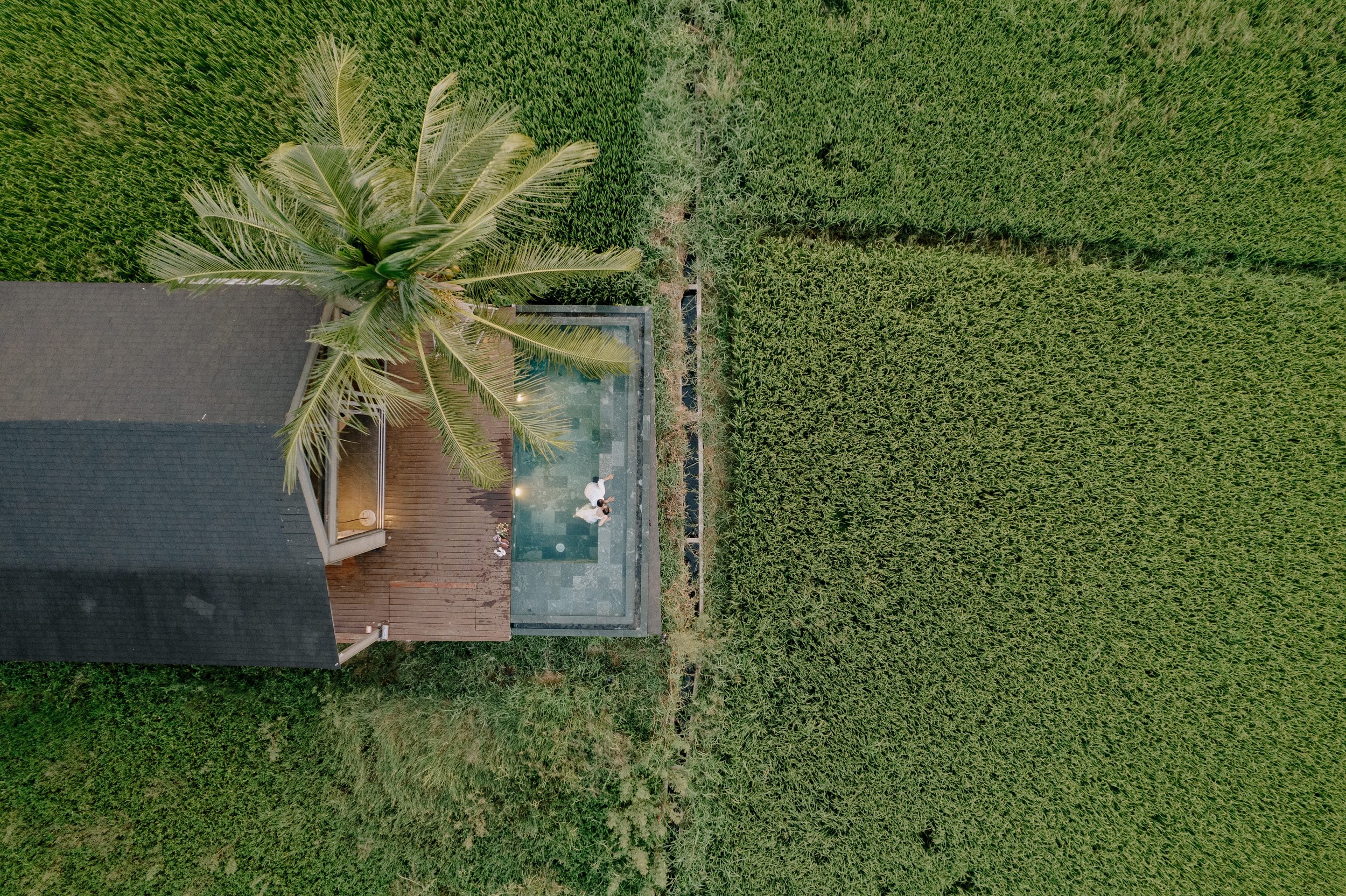 DJI_0935.jpg