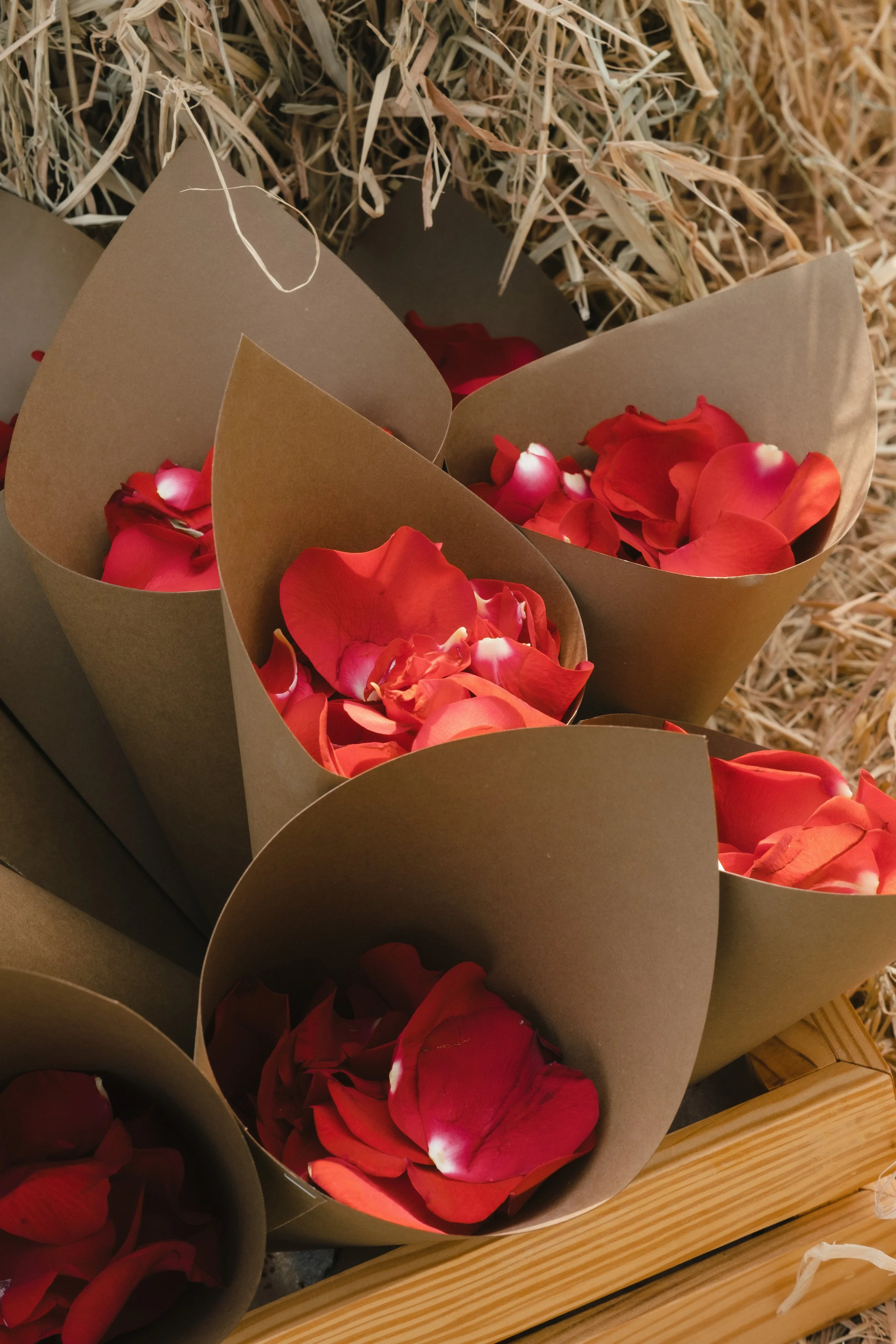 DES TRANG & HUNG 1265.JPG