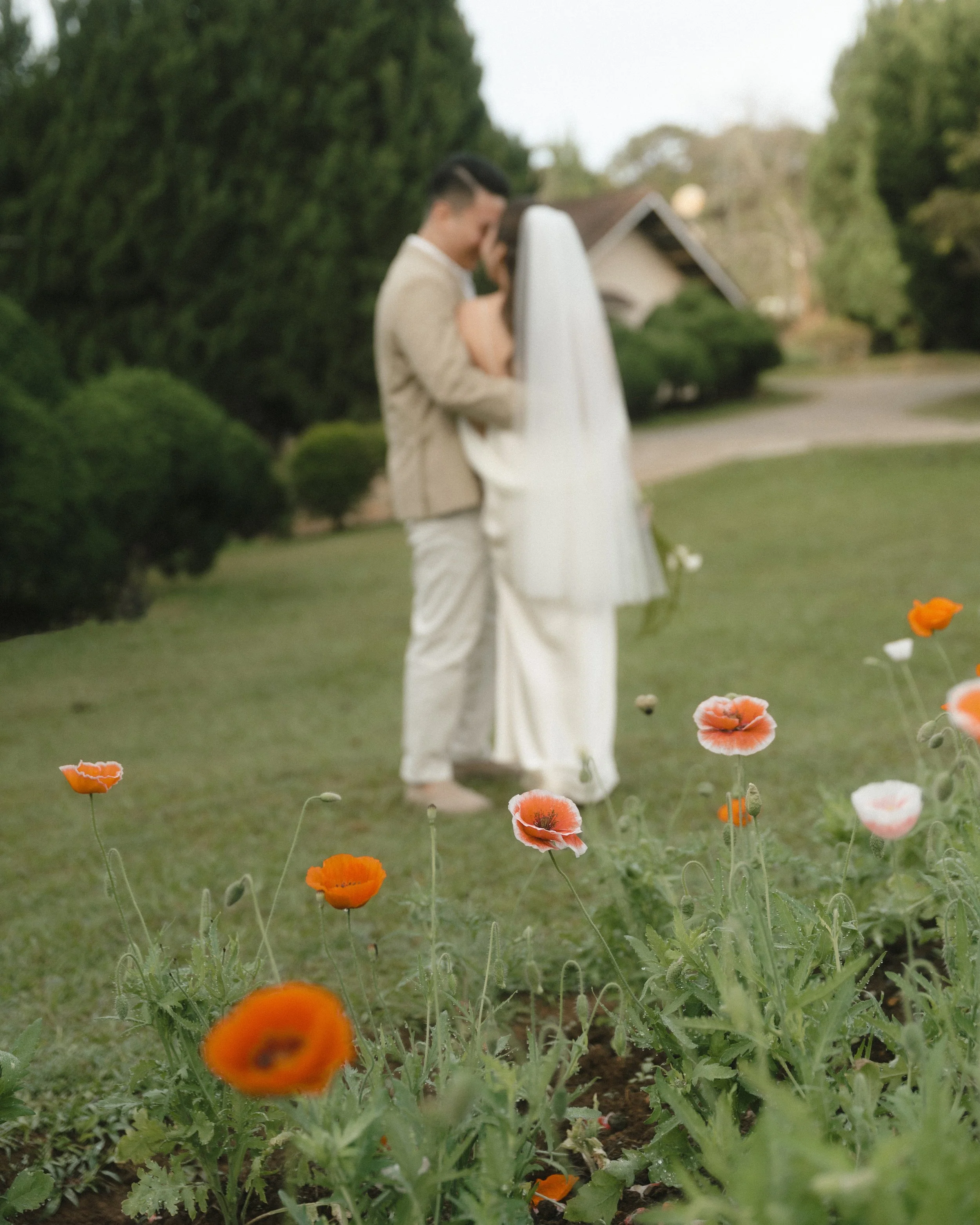 MAI&HIEU PREDLAT 487.JPG