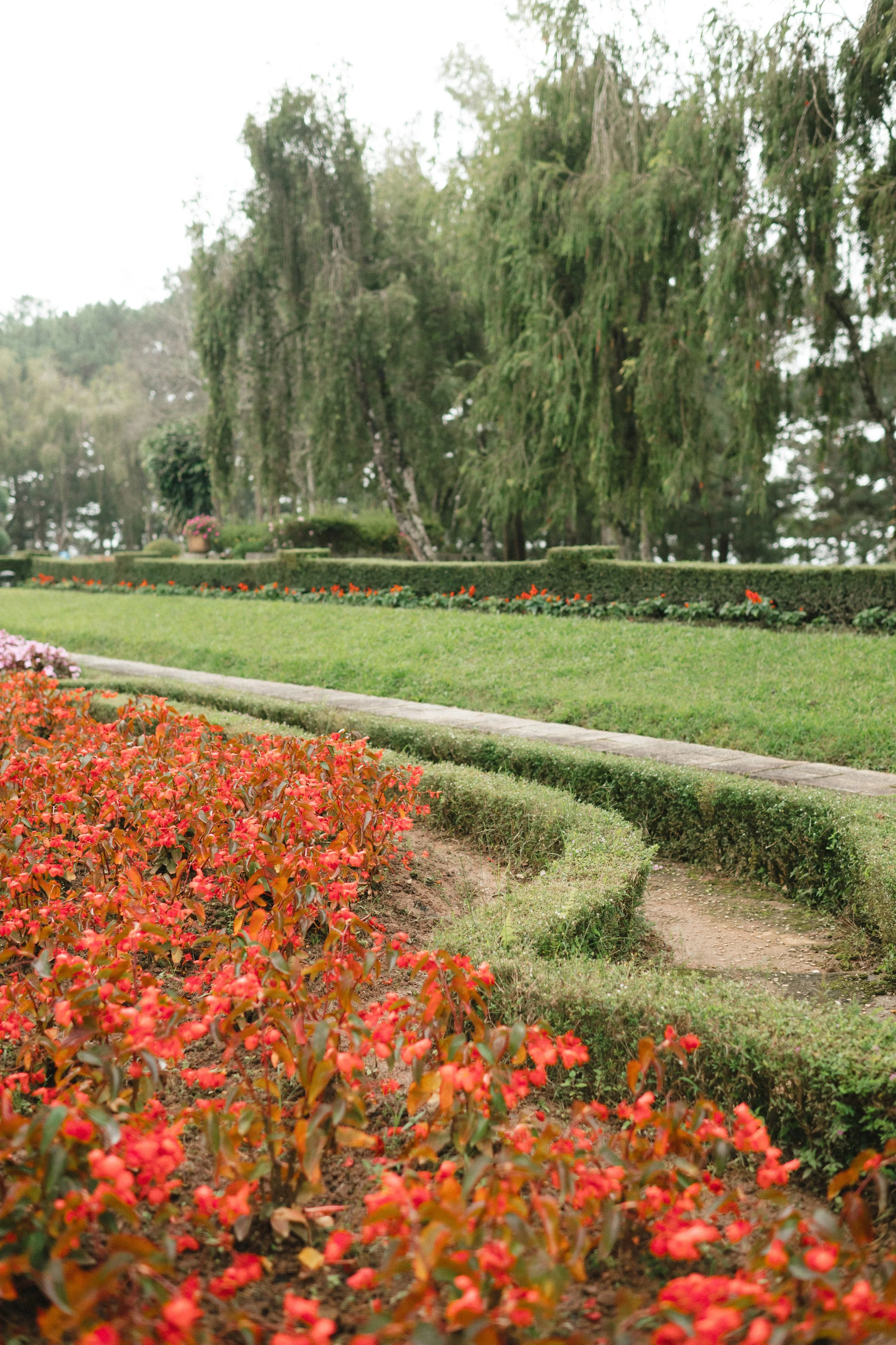 UYEN & THINH 331.JPG