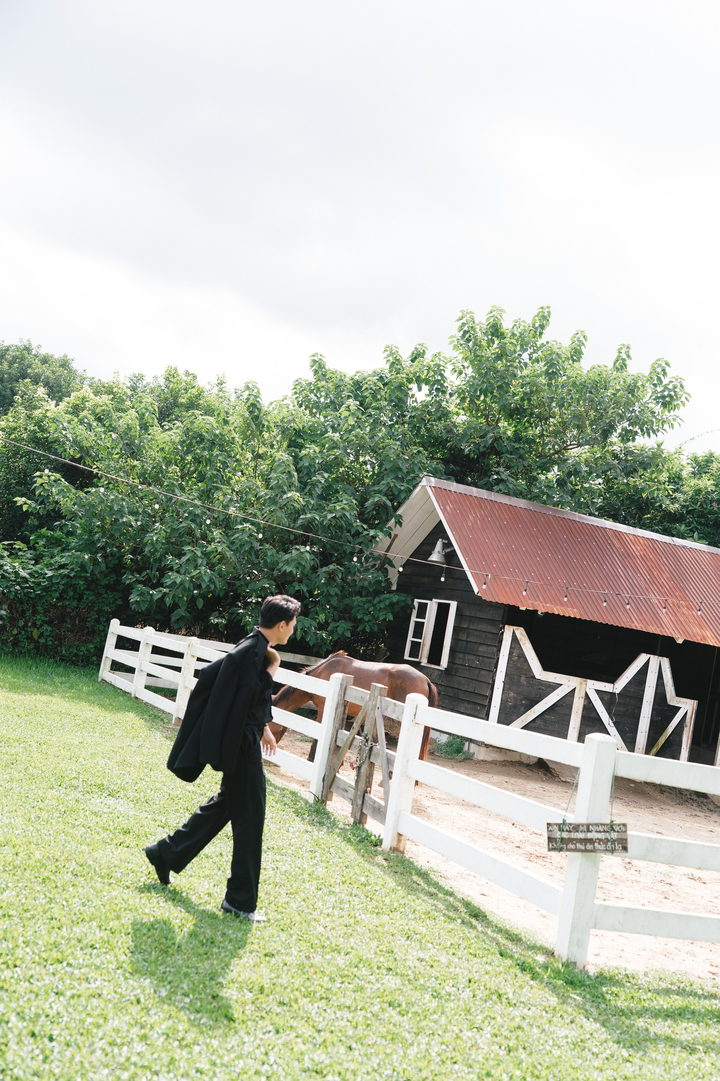 DES TRANG & HUNG 1266.JPG