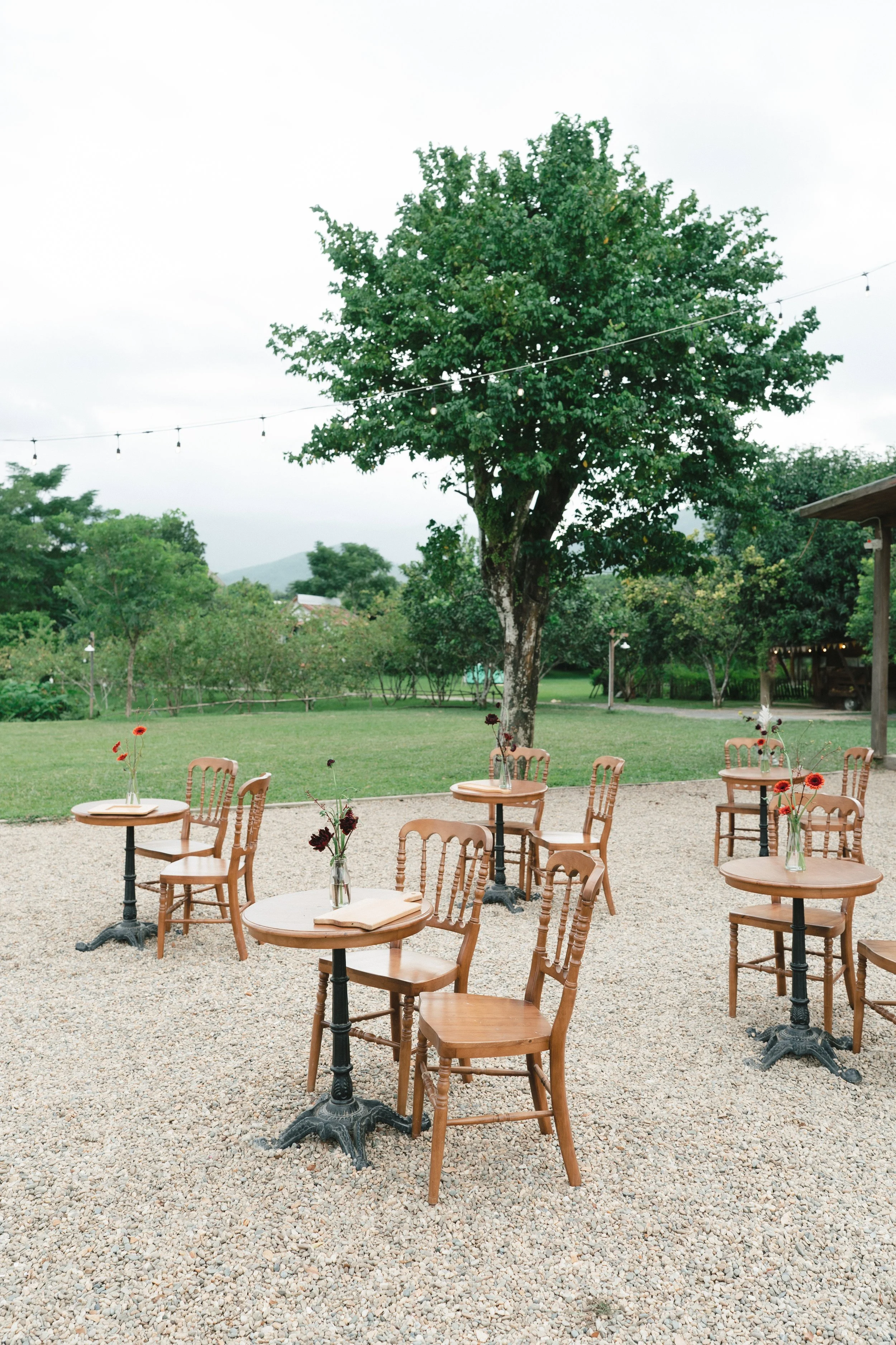 DES TRANG & HUNG 3234.JPG