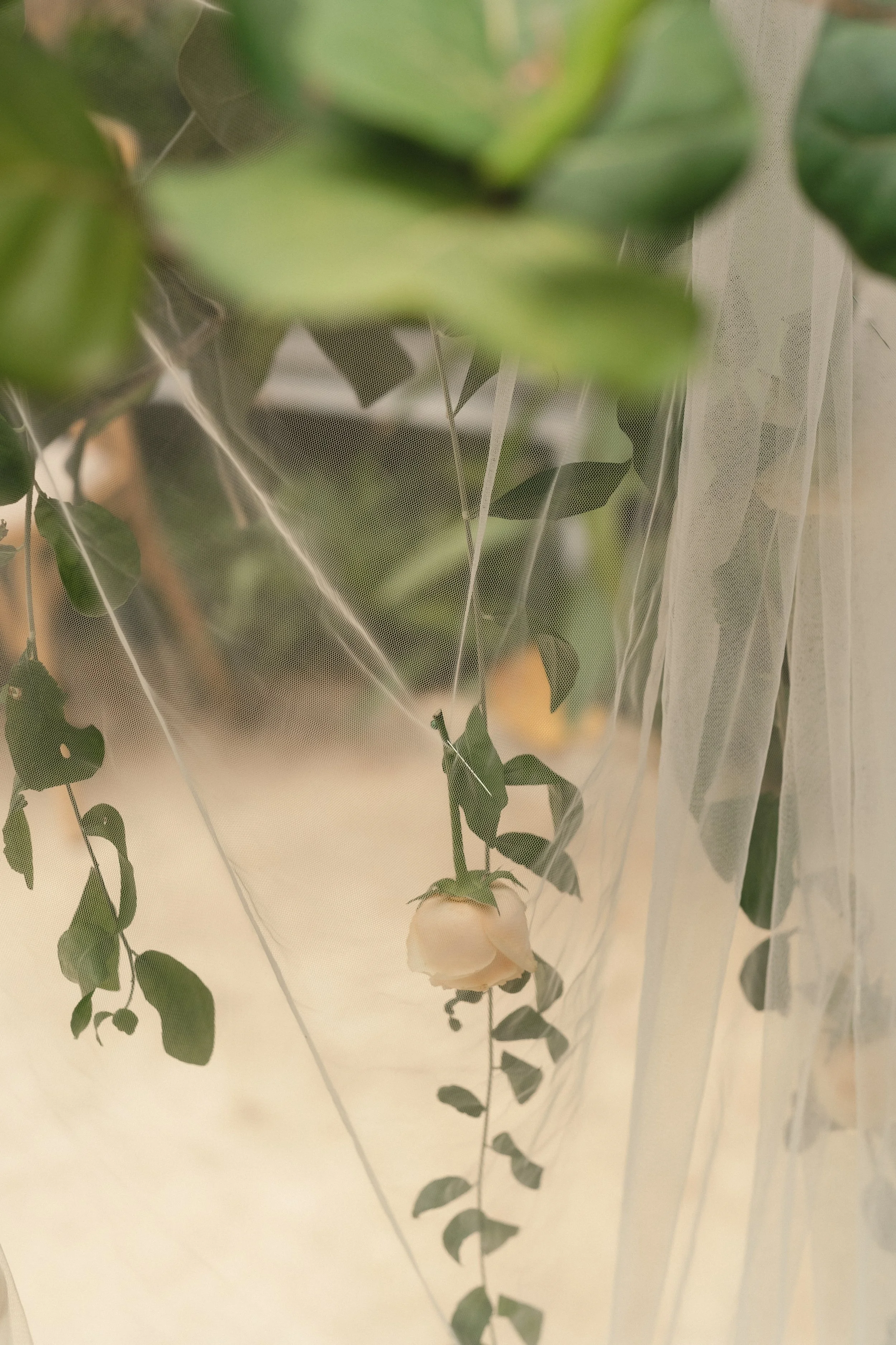 Cer Truc & Huy 3380.JPG