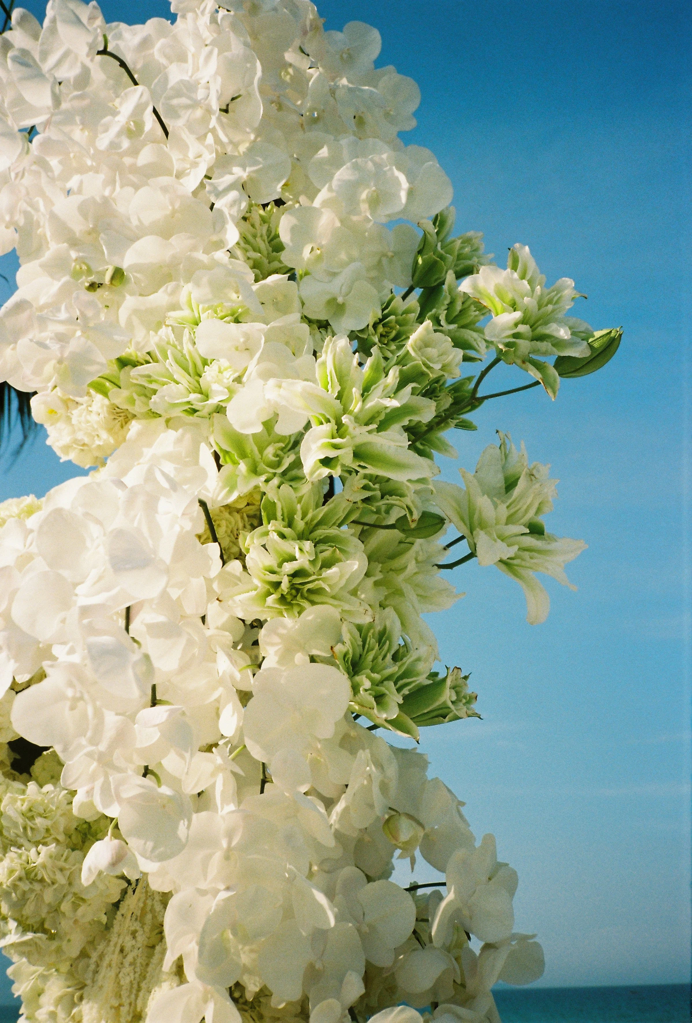 Jessica&Wilson 90.JPG