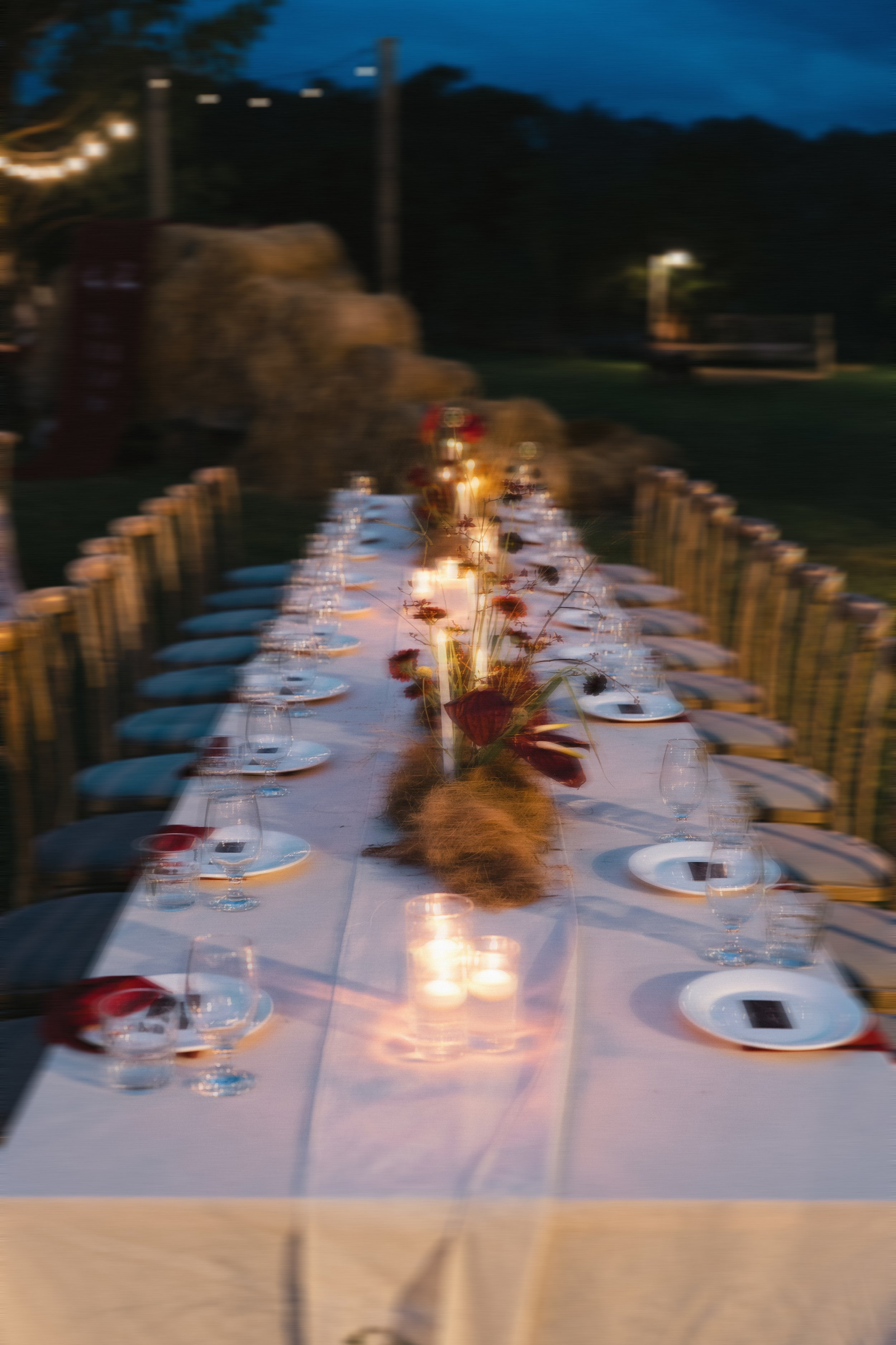 DES TRANG & HUNG 6844.JPG