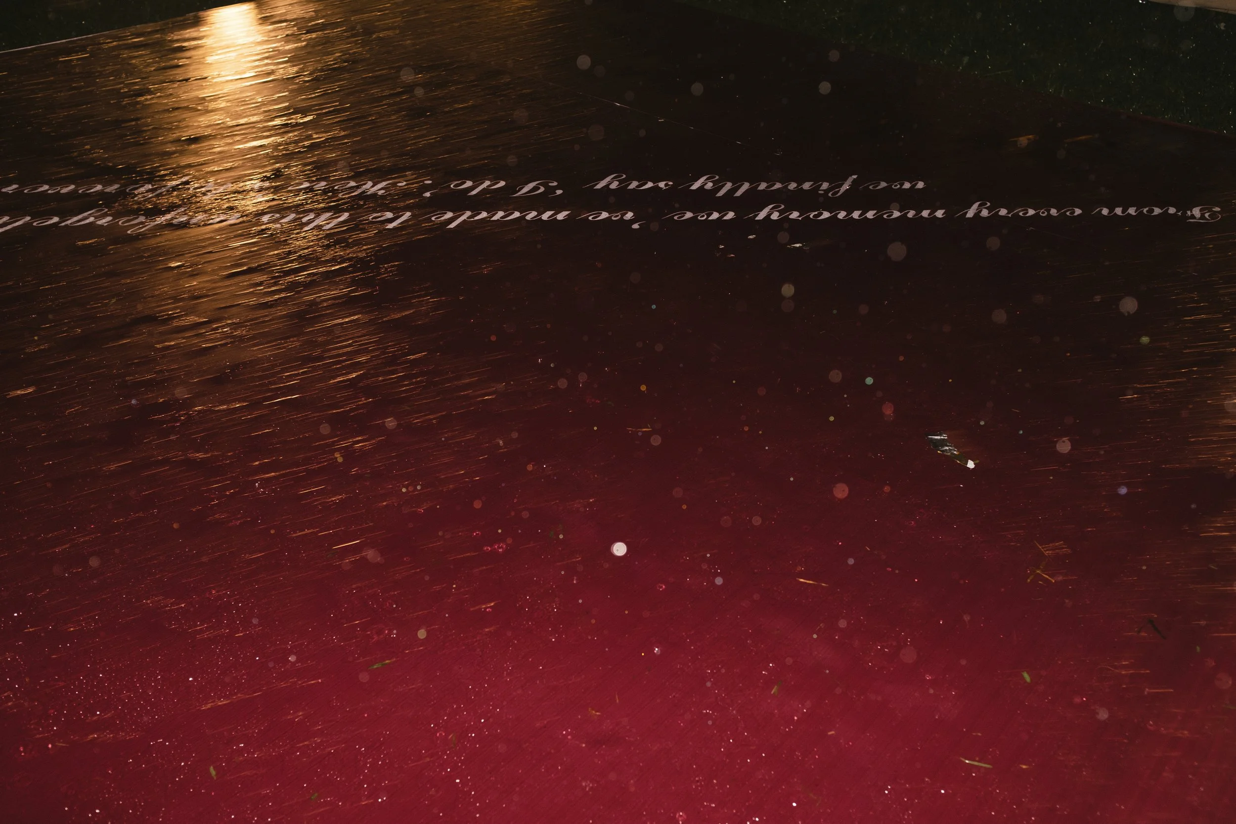 DES TRANG & HUNG 8394.jpg