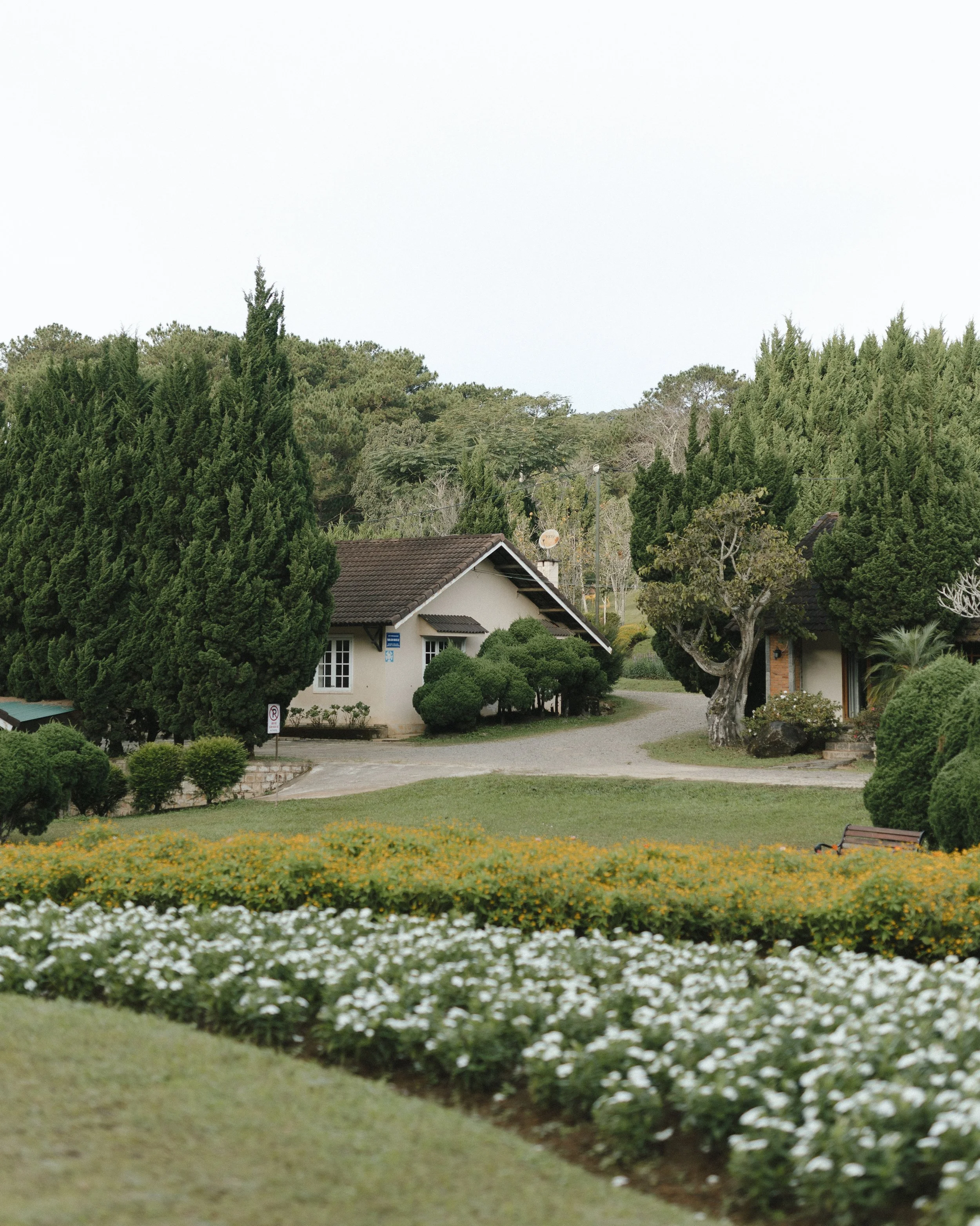 MAI&HIEU PREDLAT 4.JPG