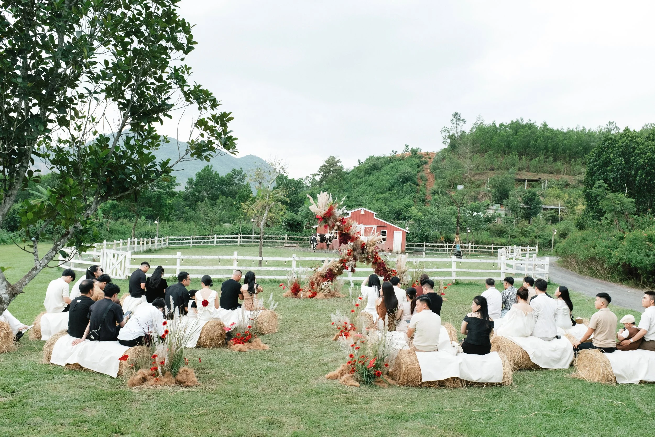 DES TRANG & HUNG 3582.jpg