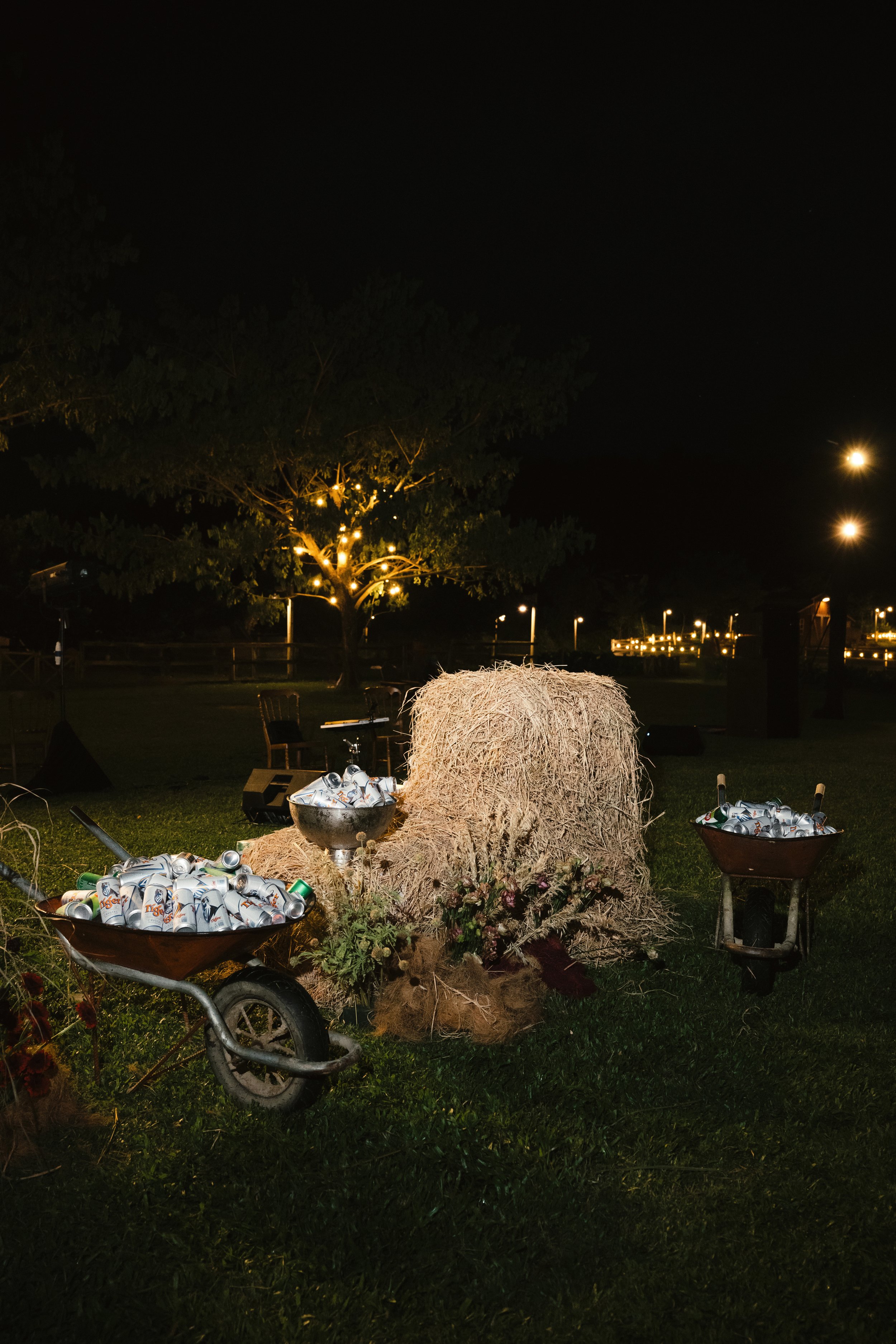 DES TRANG & HUNG 7047.jpg