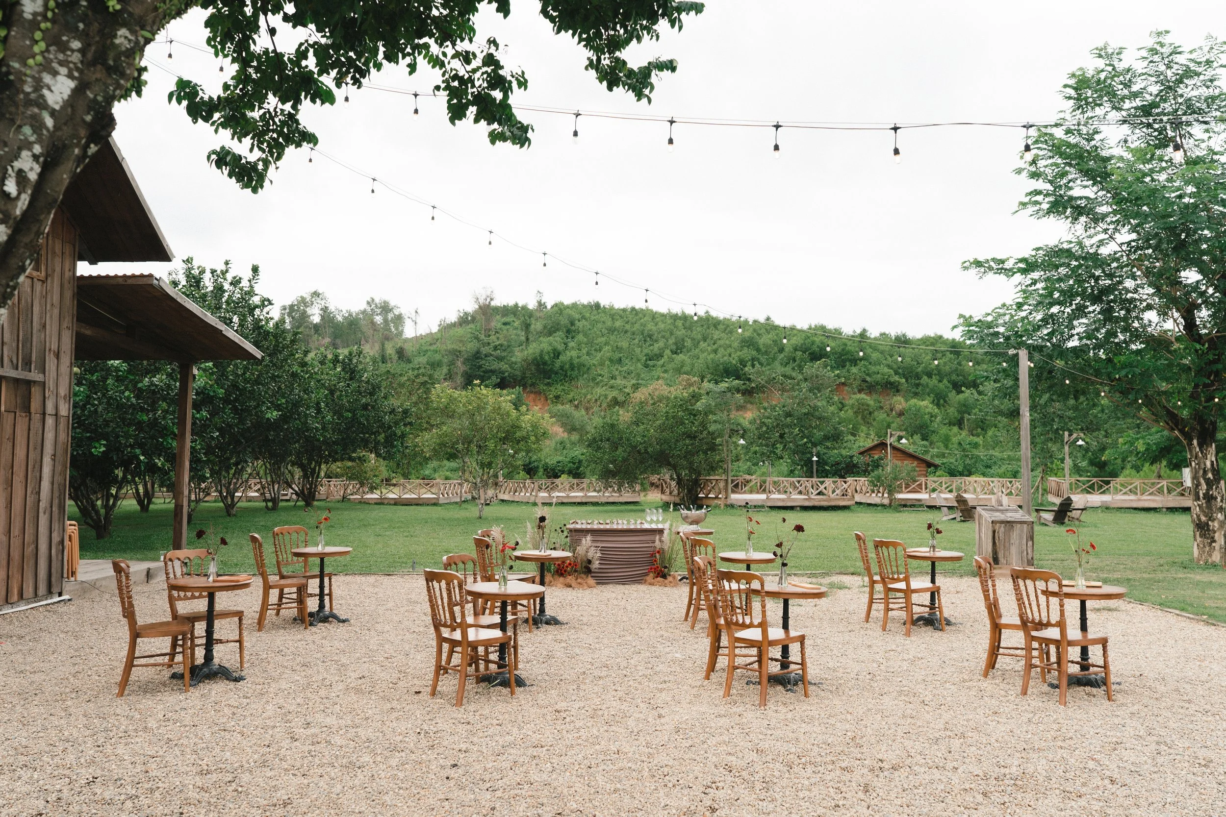 DES TRANG & HUNG 3177.jpg