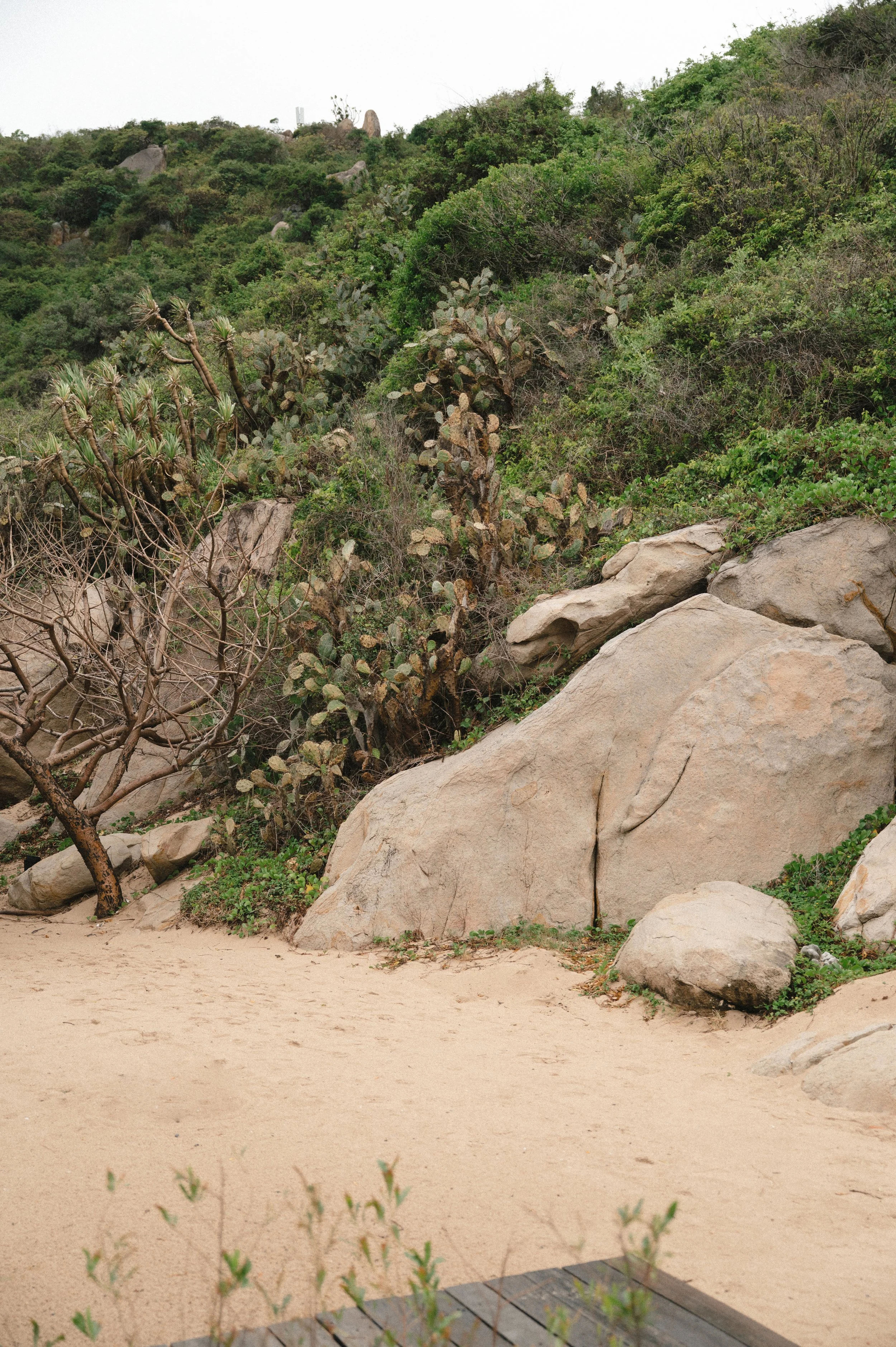 PRE NHI & QUOC ANH - 6928.JPG