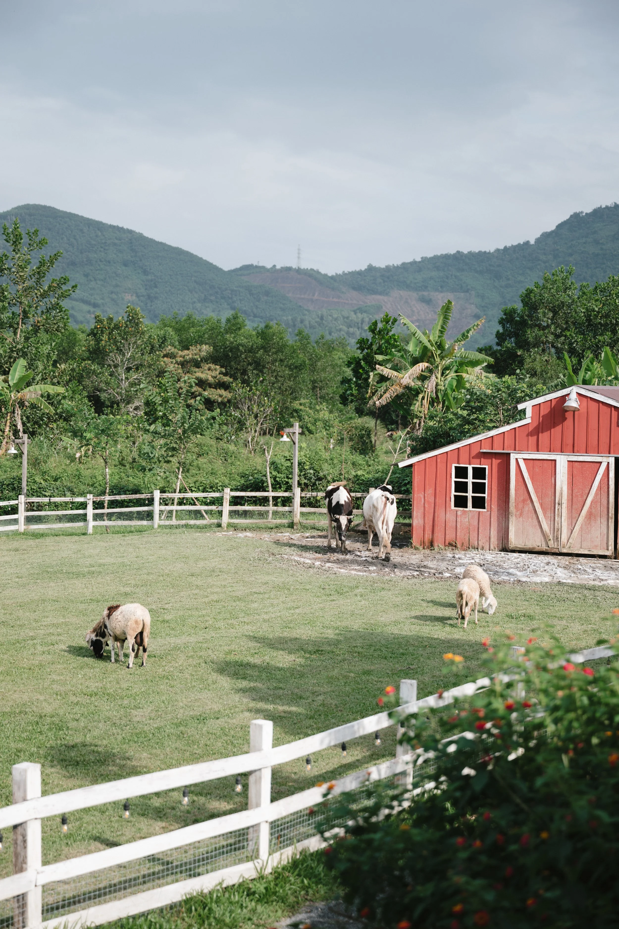 DES TRANG & HUNG 1882.jpg