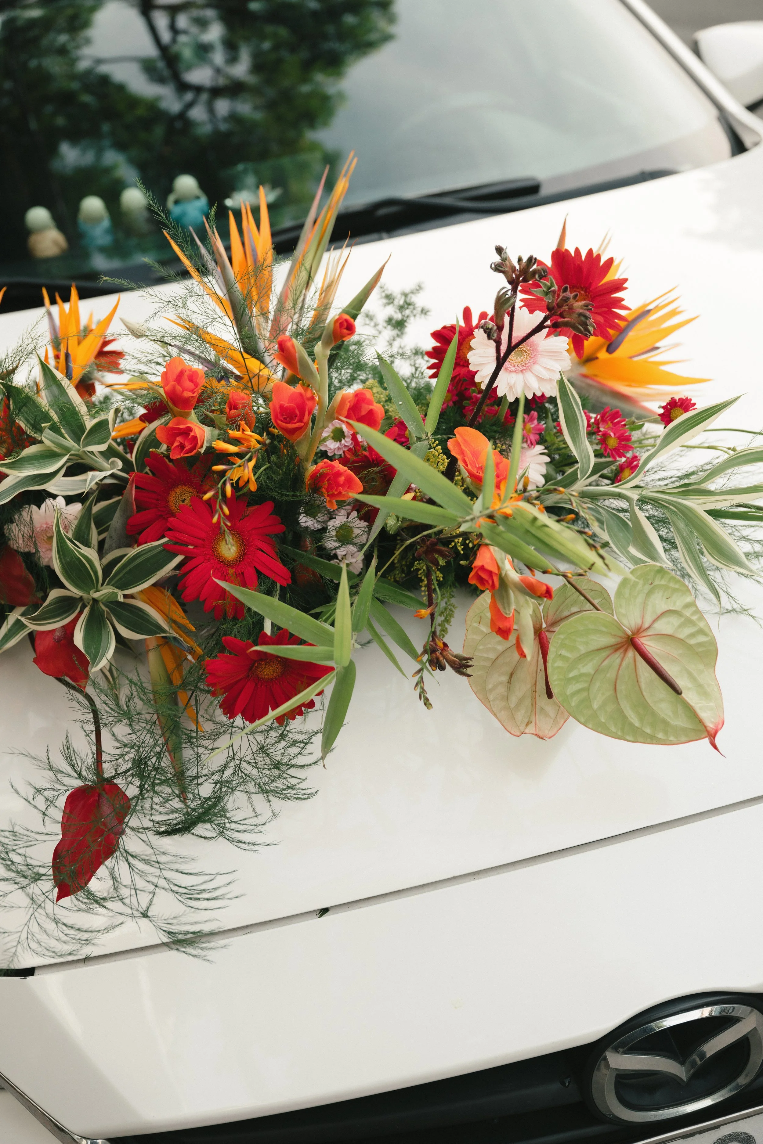 LUAN & HAN CER 346.JPG