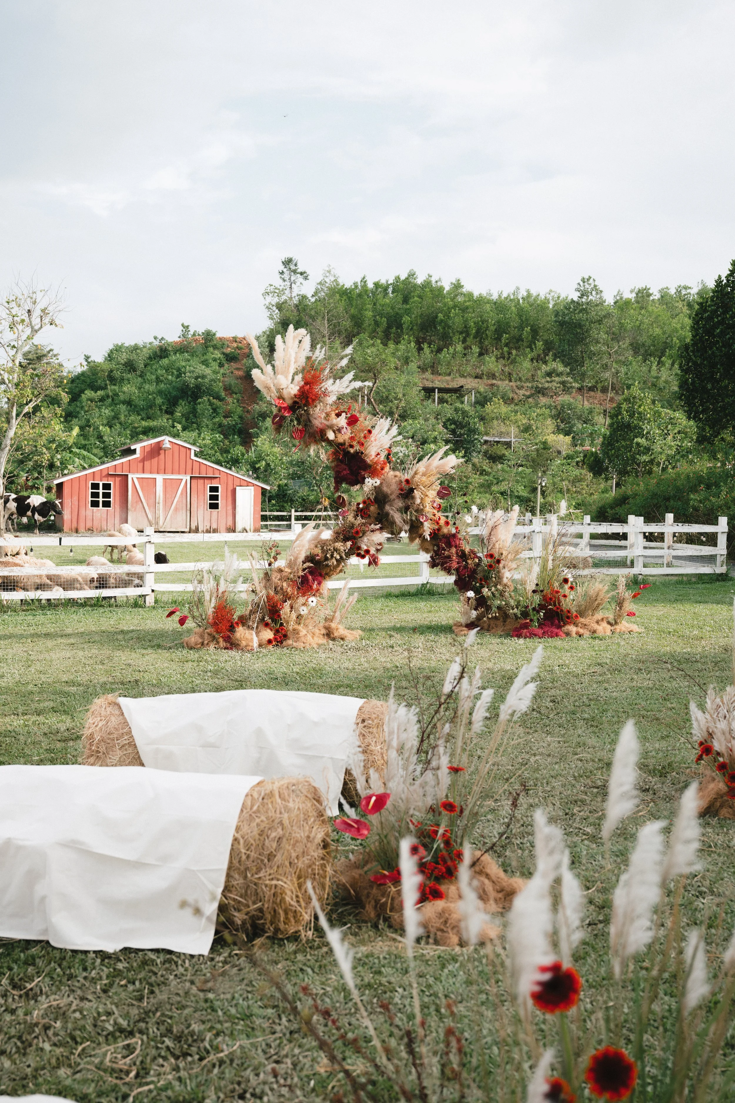 DES TRANG & HUNG 1898.jpg