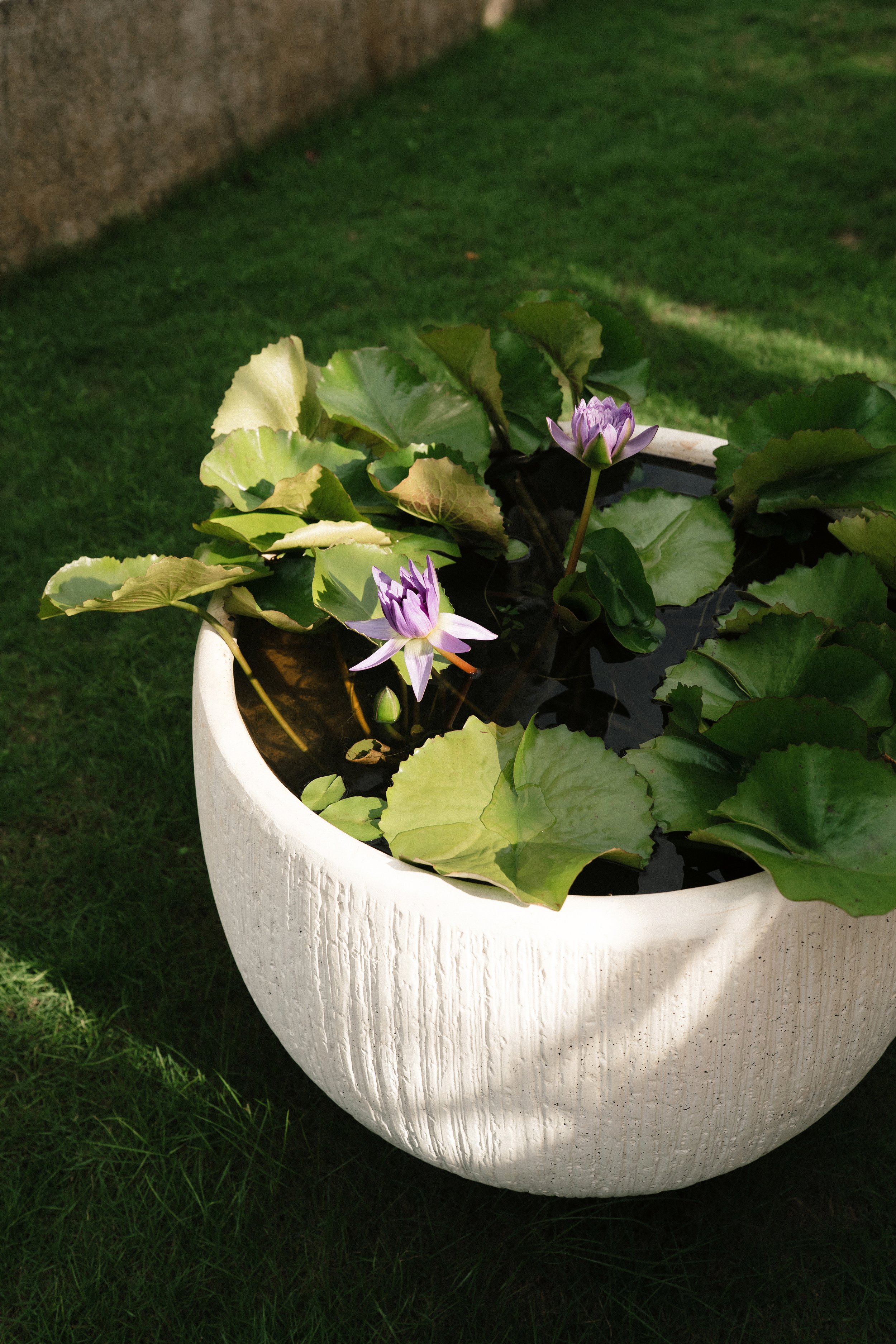 LUAN & HAN CER 5561.JPG