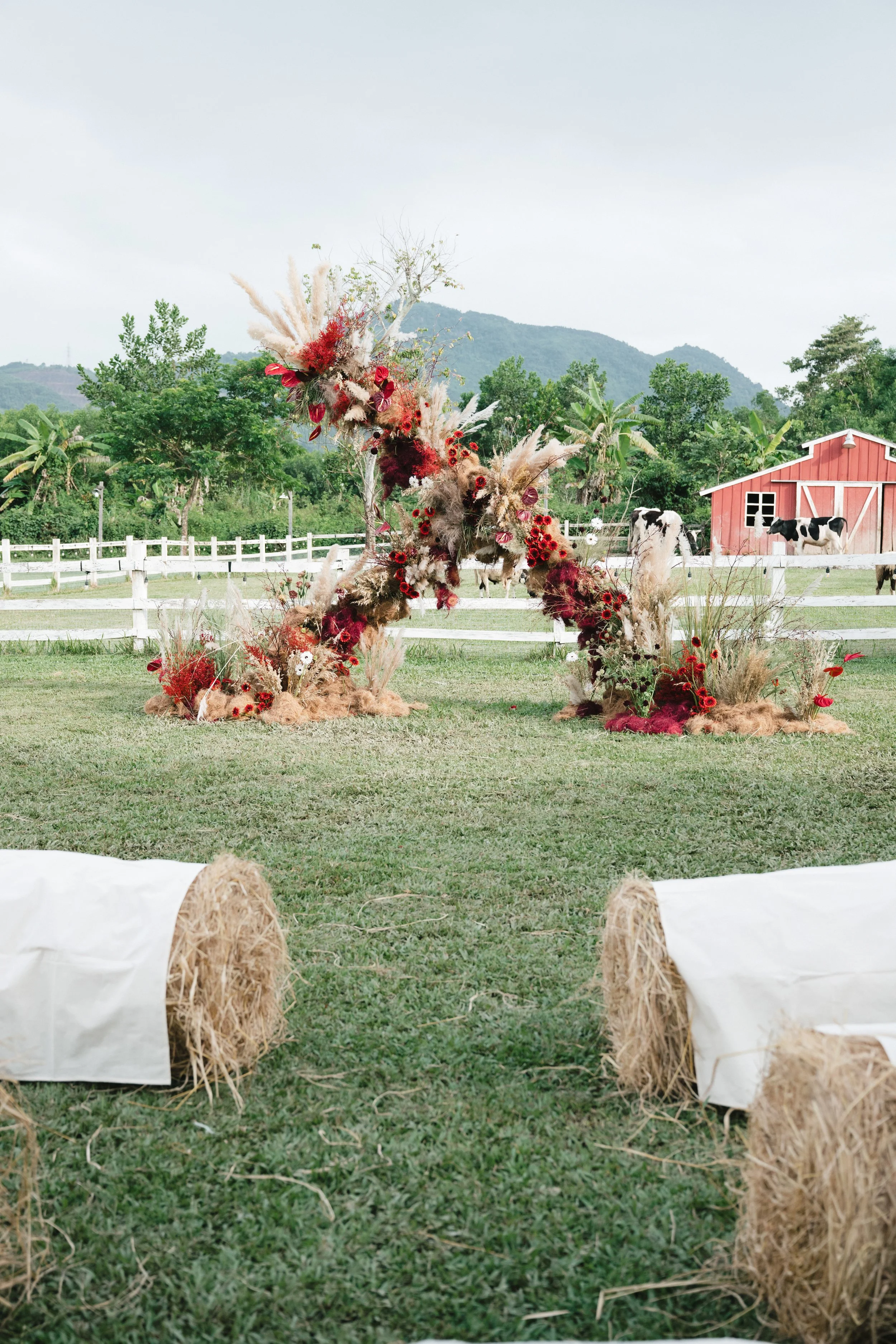 DES TRANG & HUNG 1904.jpg