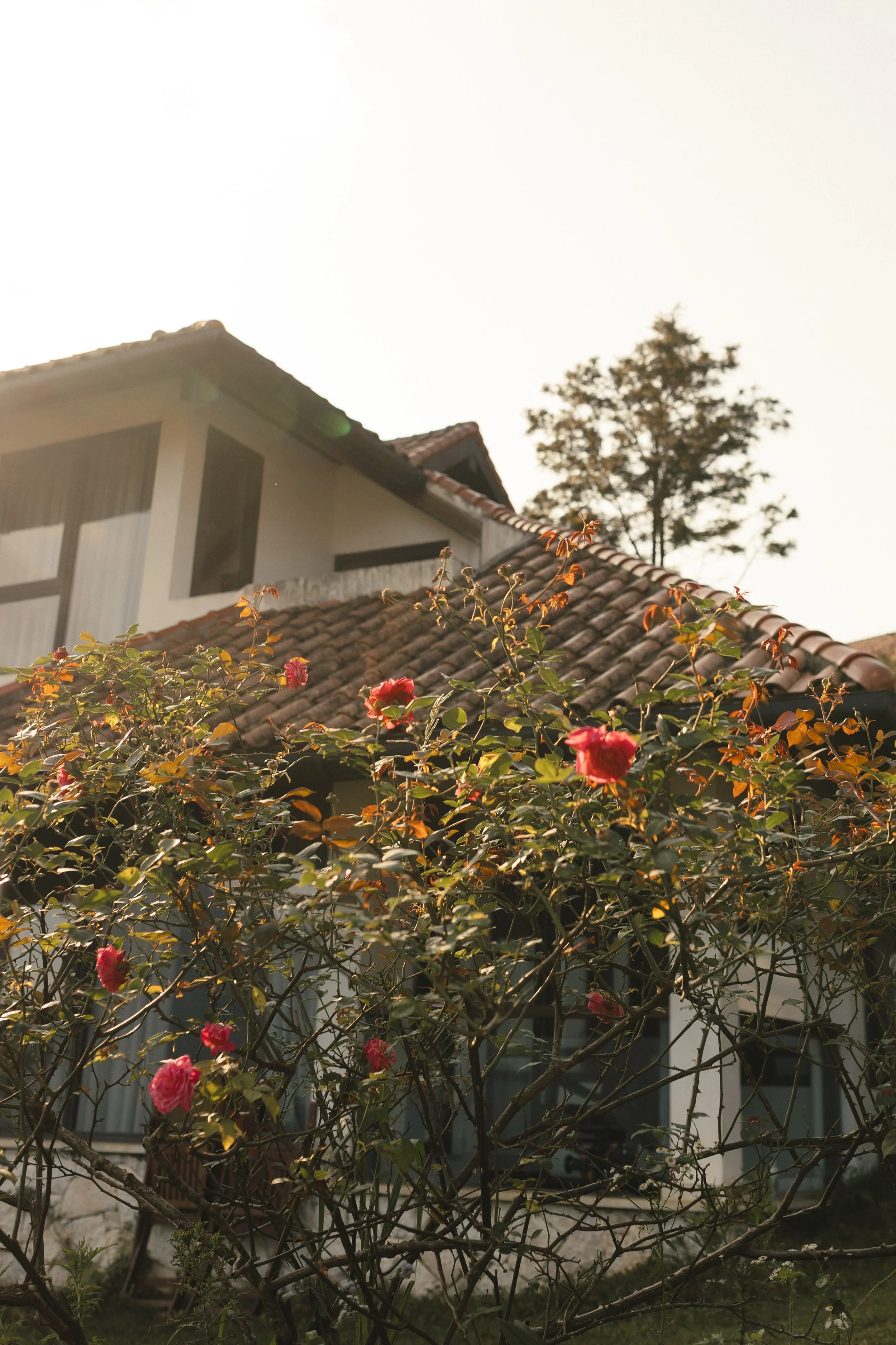 DES THAO & JORDAN 00159.JPG