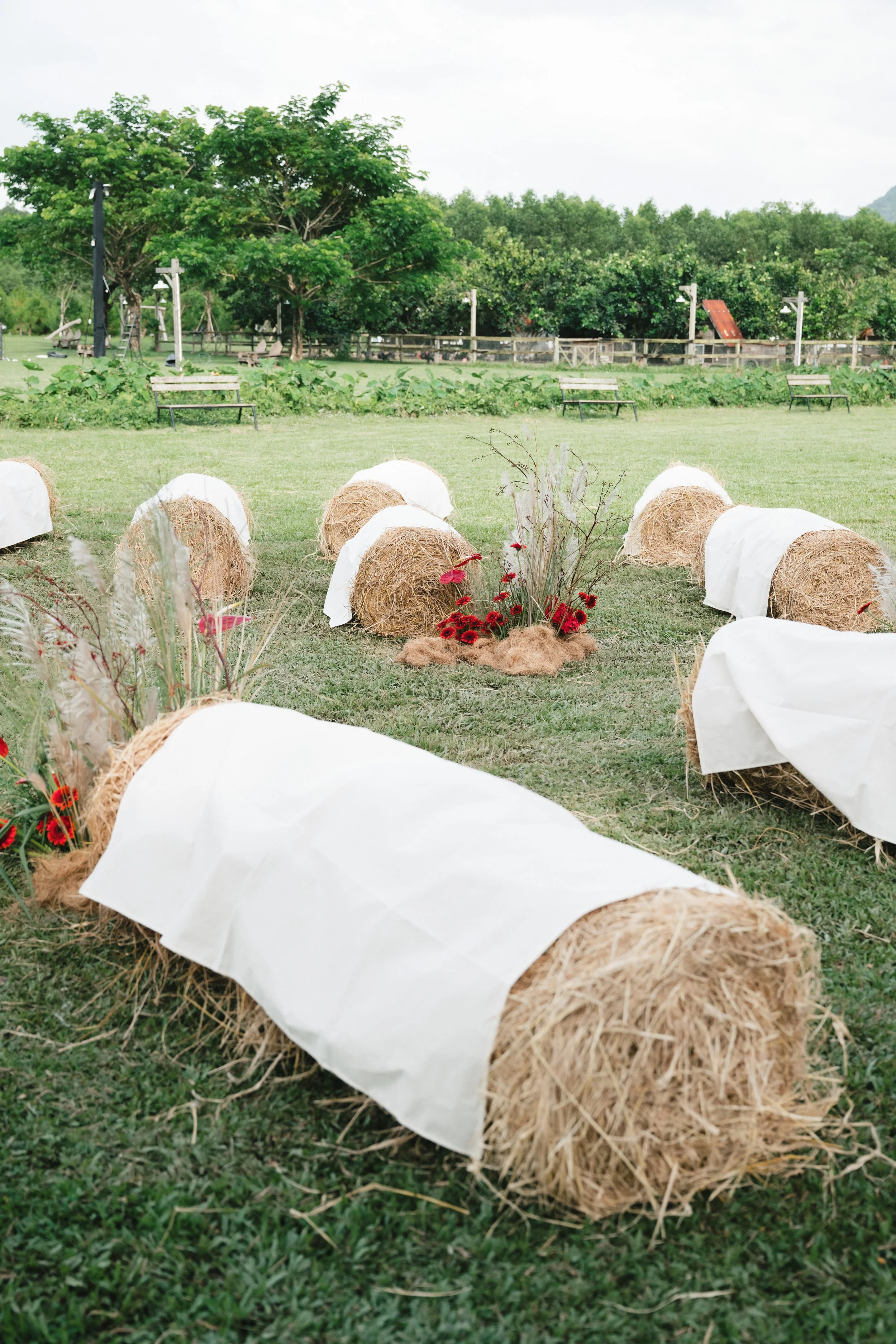 DES TRANG & HUNG 1903.jpg